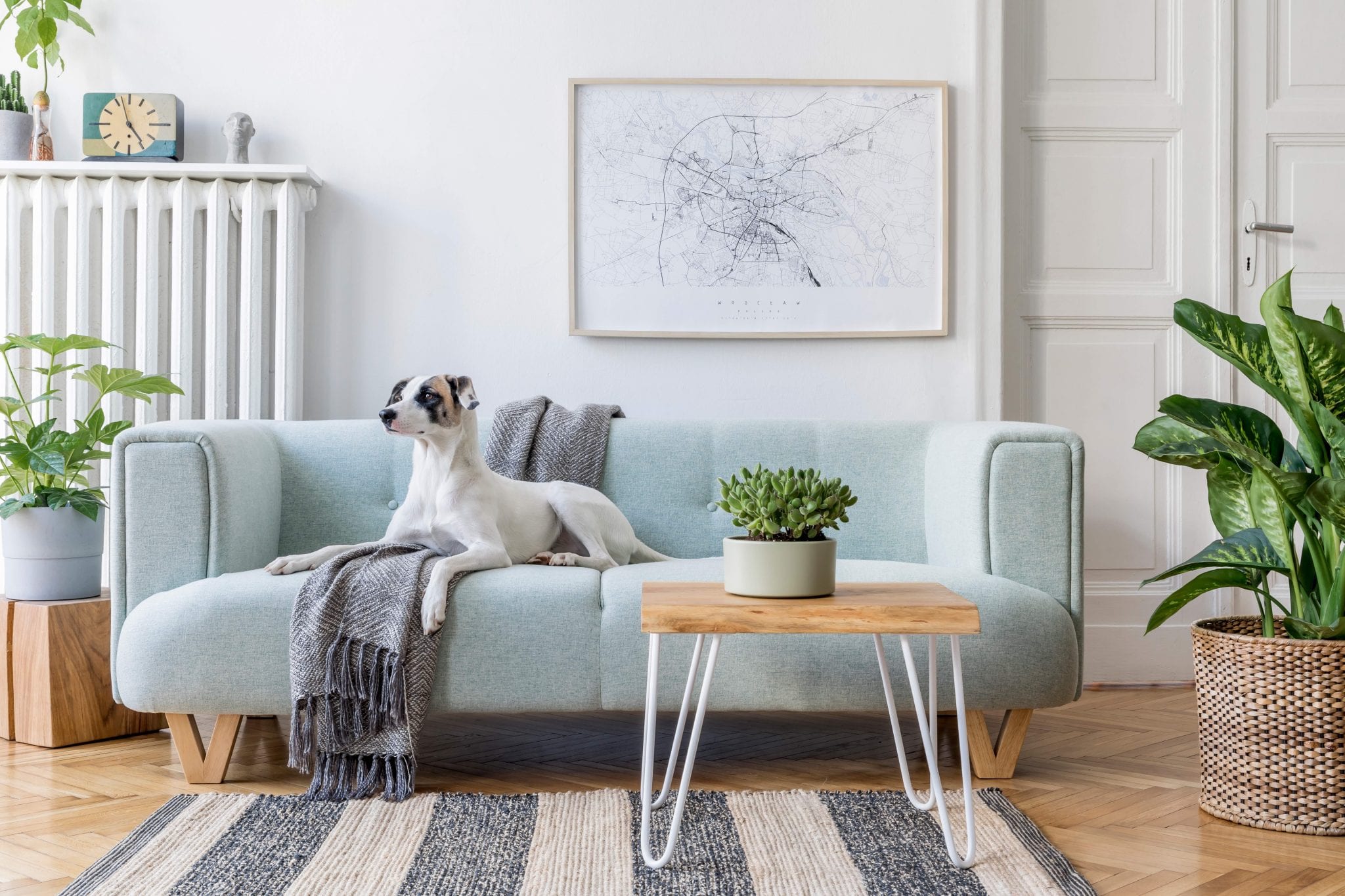 Corum Property: Here to help you move safely