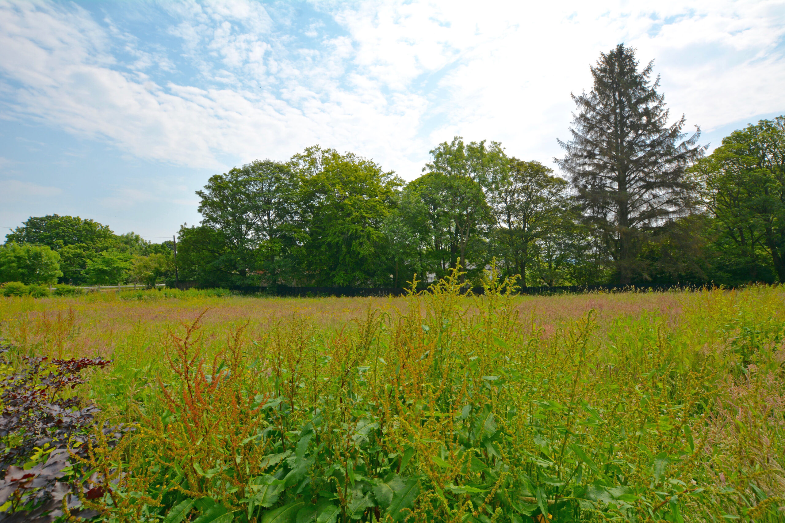 Plot Southwood Road, Troon, KA9 1UP Corum Property