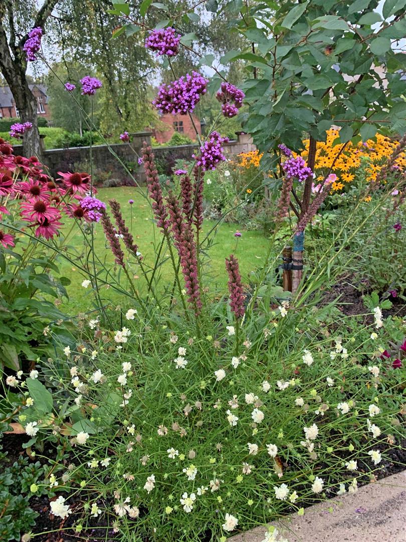 103B Springkell Avenue, Pollokshields, G41 4EN Corum Property