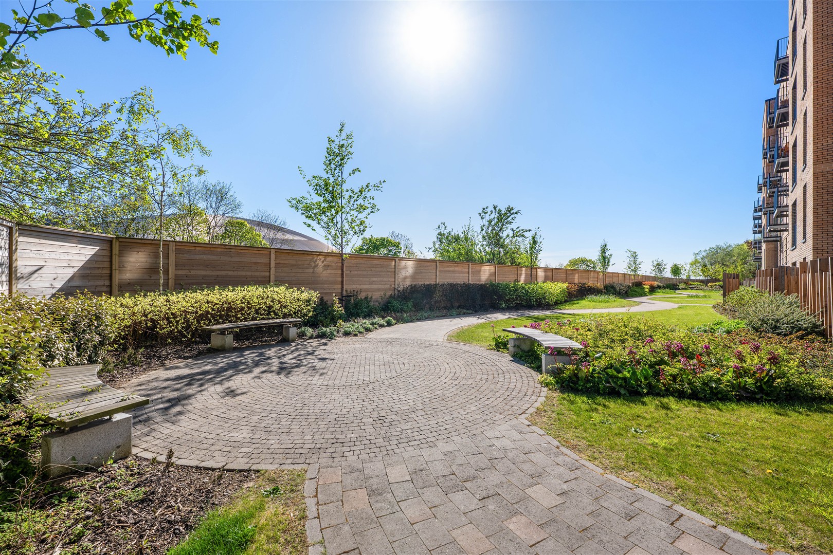 1.3 104 Minerva Street 11 (Large)