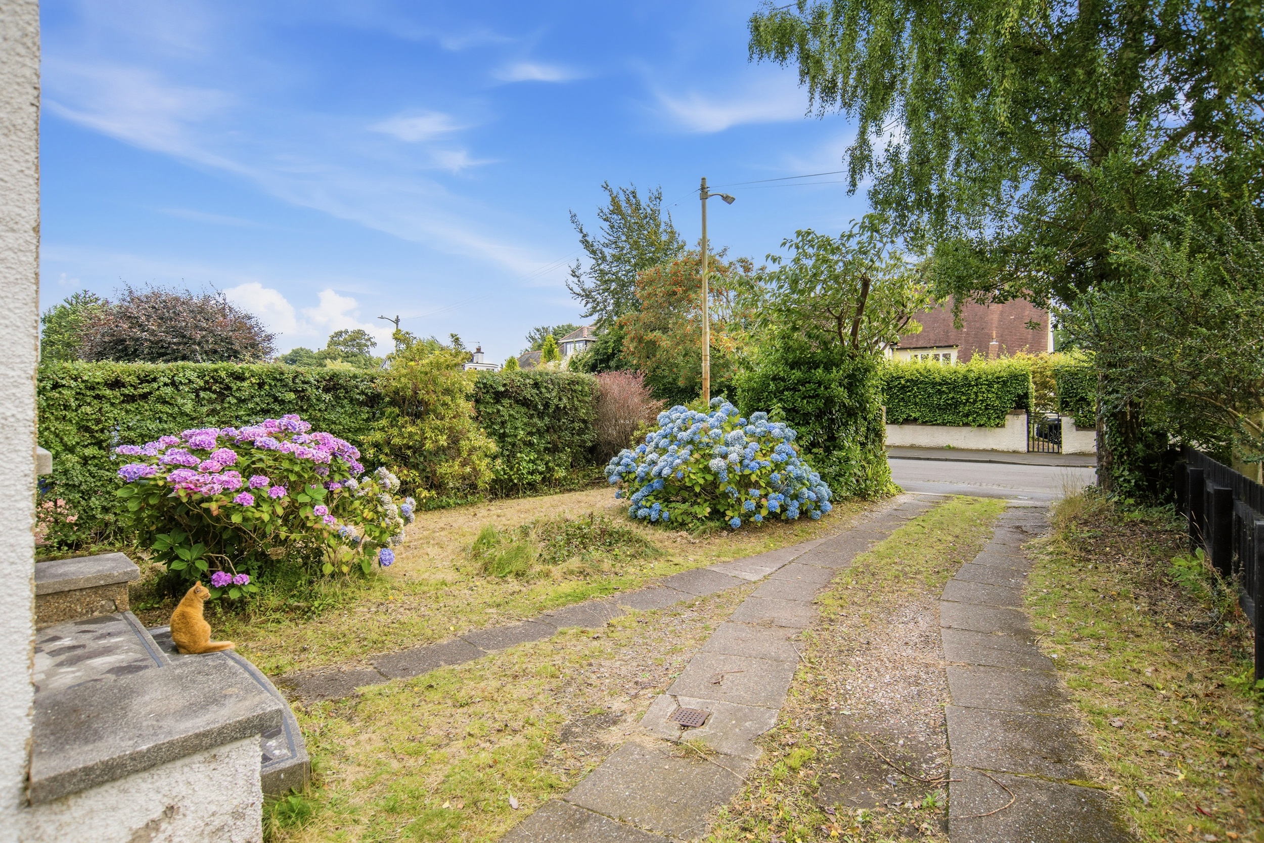 87 Fernleigh Road (2)
