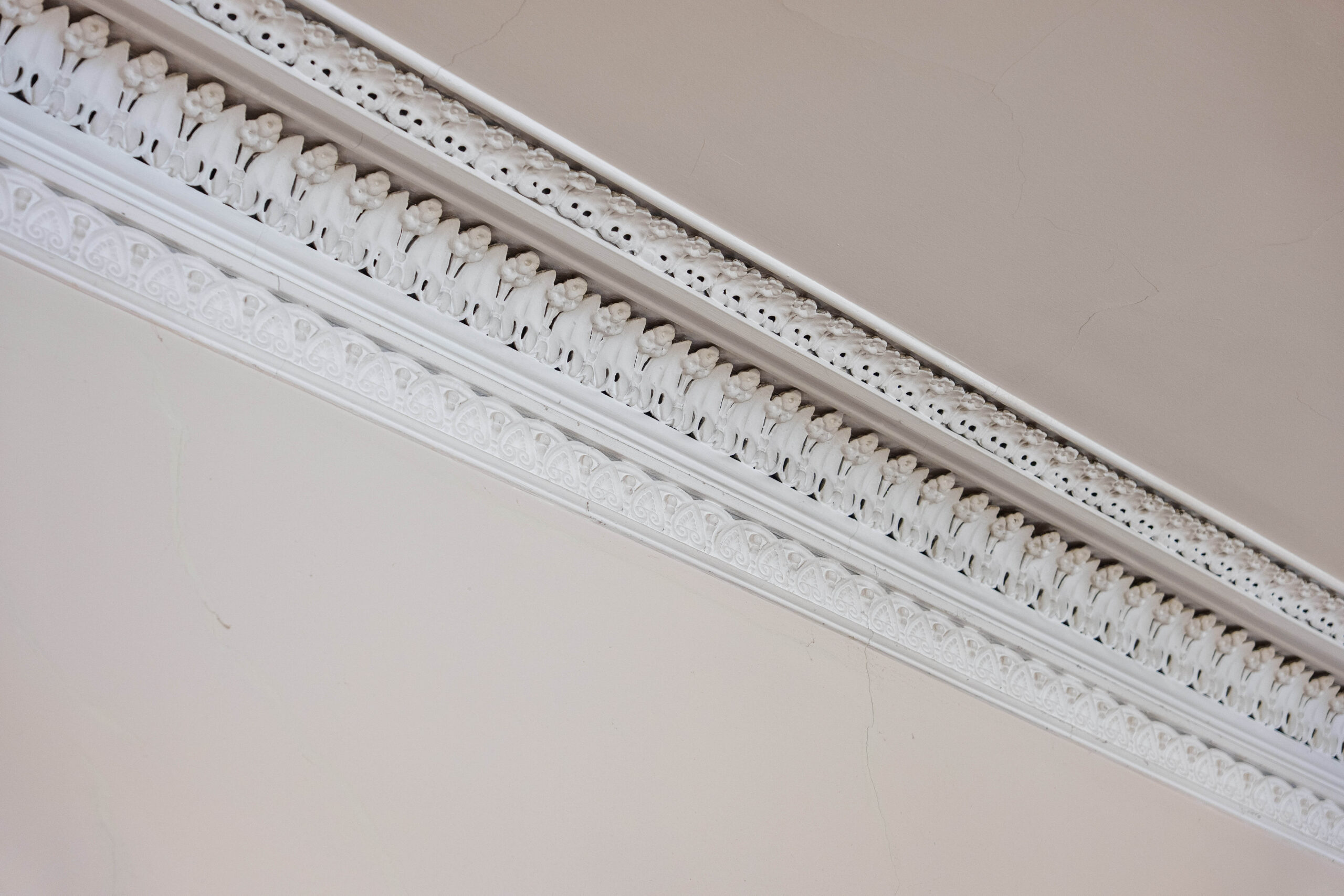 Elevated Ground Floor, 495 Shields Road (9)