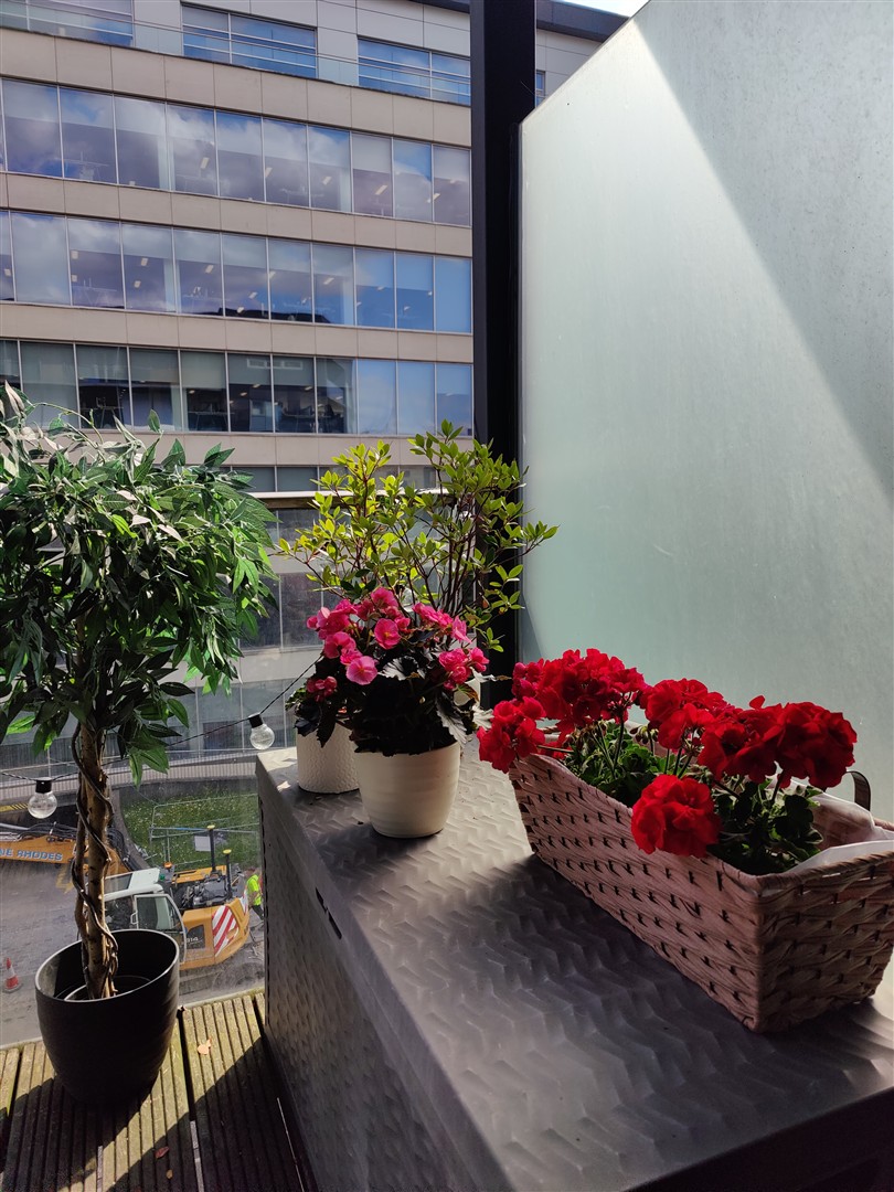 oplus_32