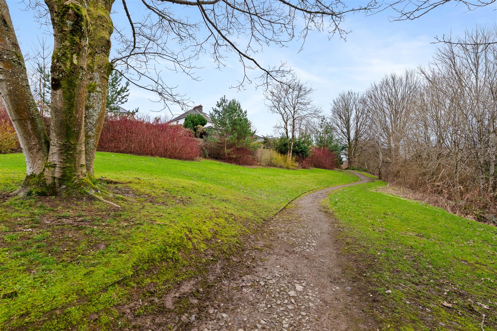 1.3 37 Kelvindale Court 18 (Large)