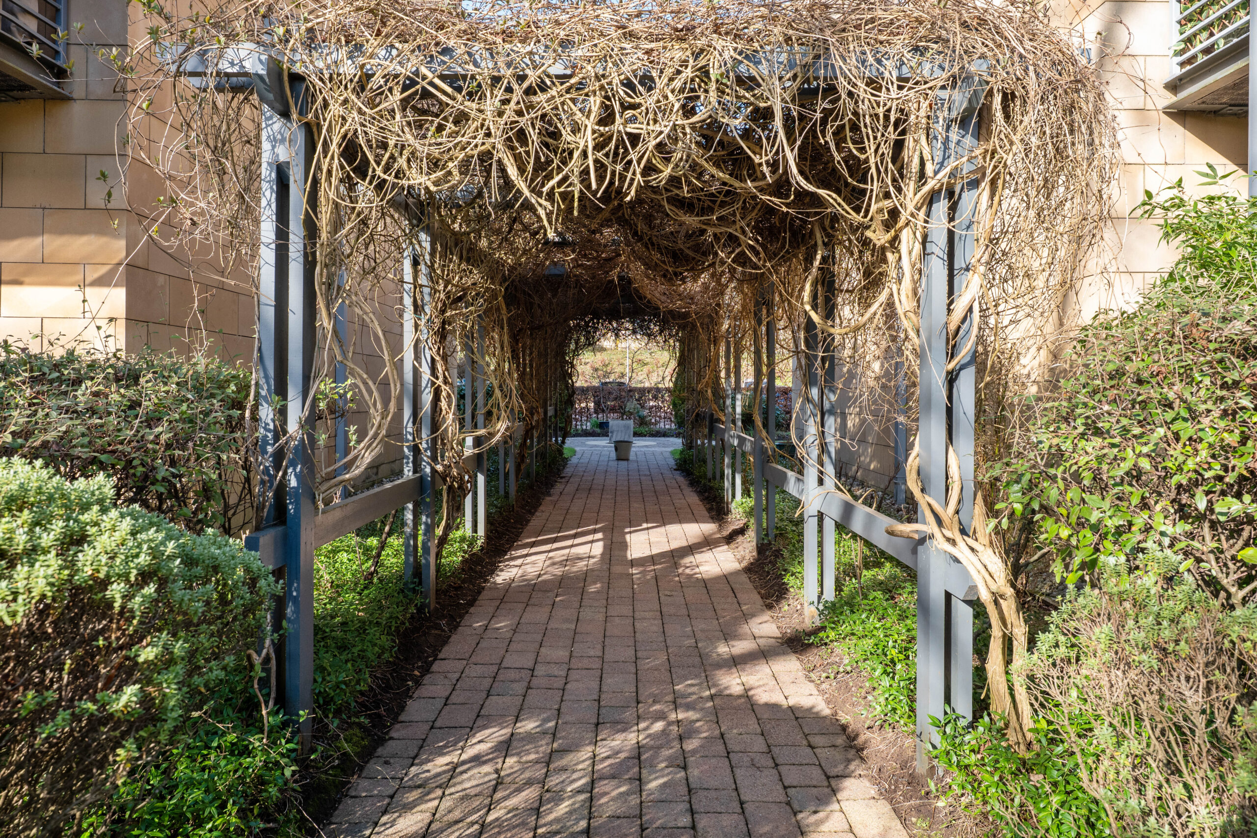 external development 2