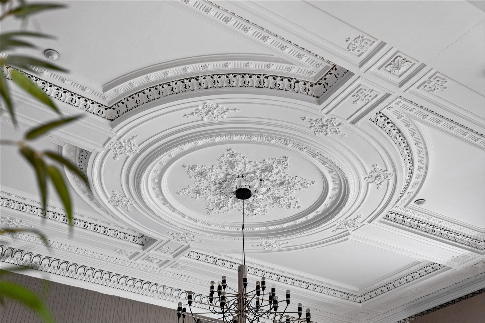 1.1 3 Claremont Terrace 20 (Large)