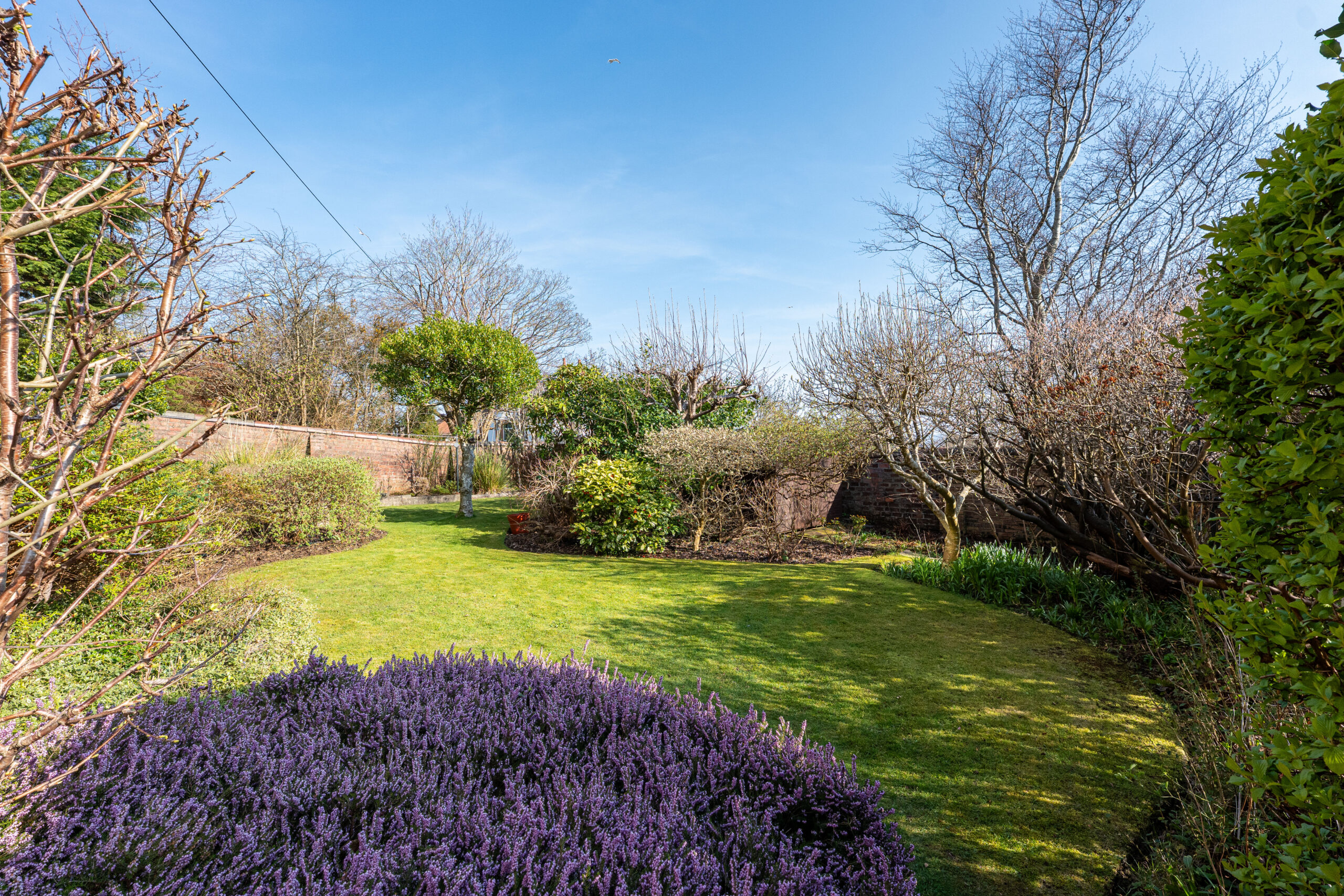 51a Sutherland Ave – Garden Ext (6)