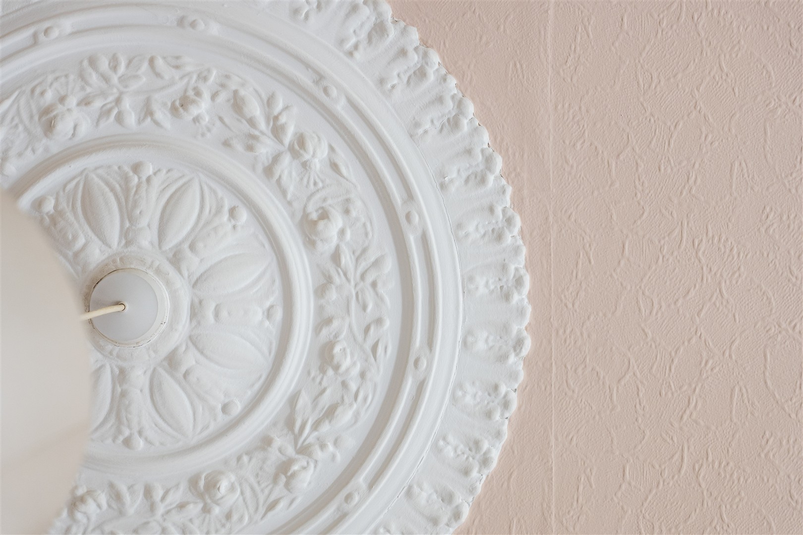 1.1 8 Caledon Street 11 (Large)