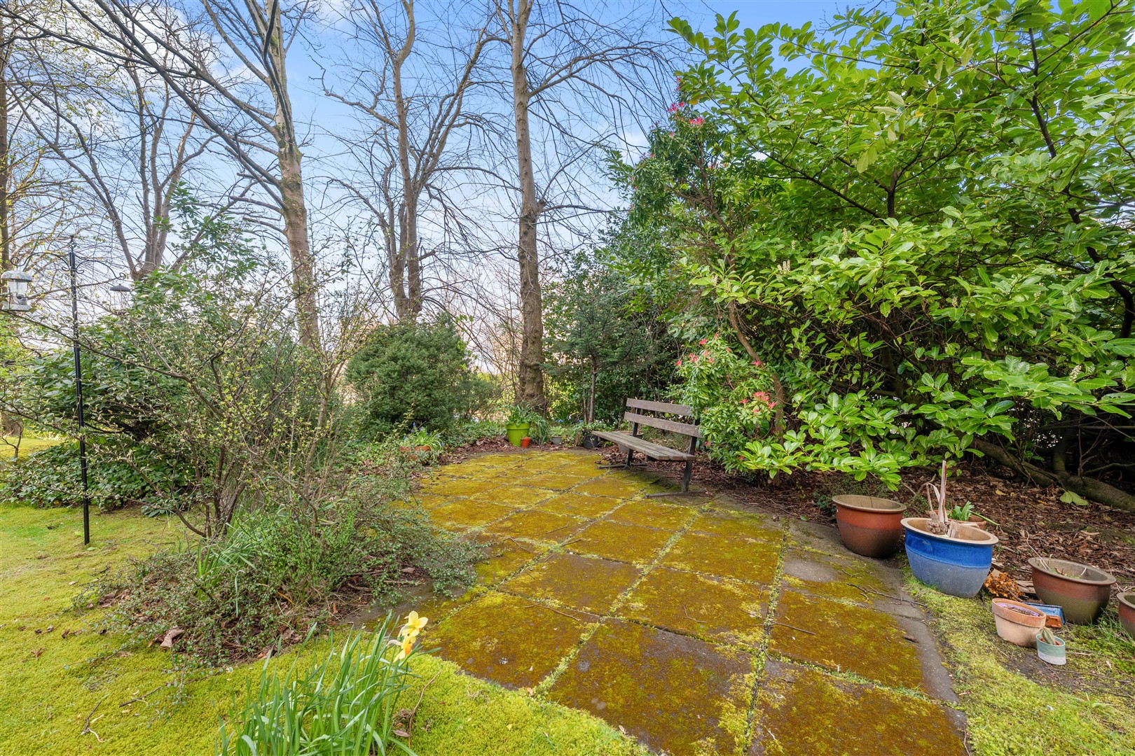 3F Balgray Court 11 (Large)