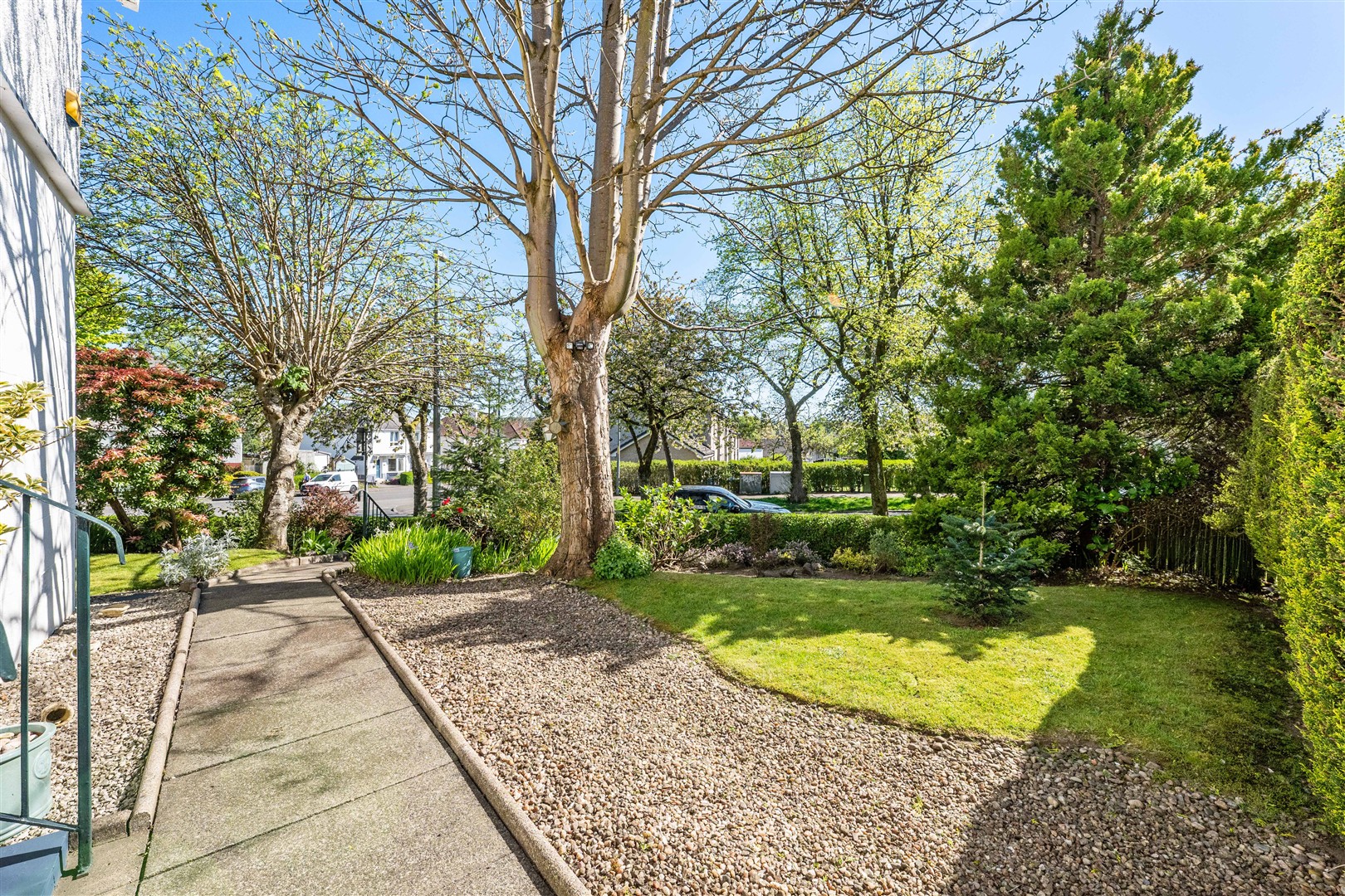 4 Athelstane Road 13 (Large)