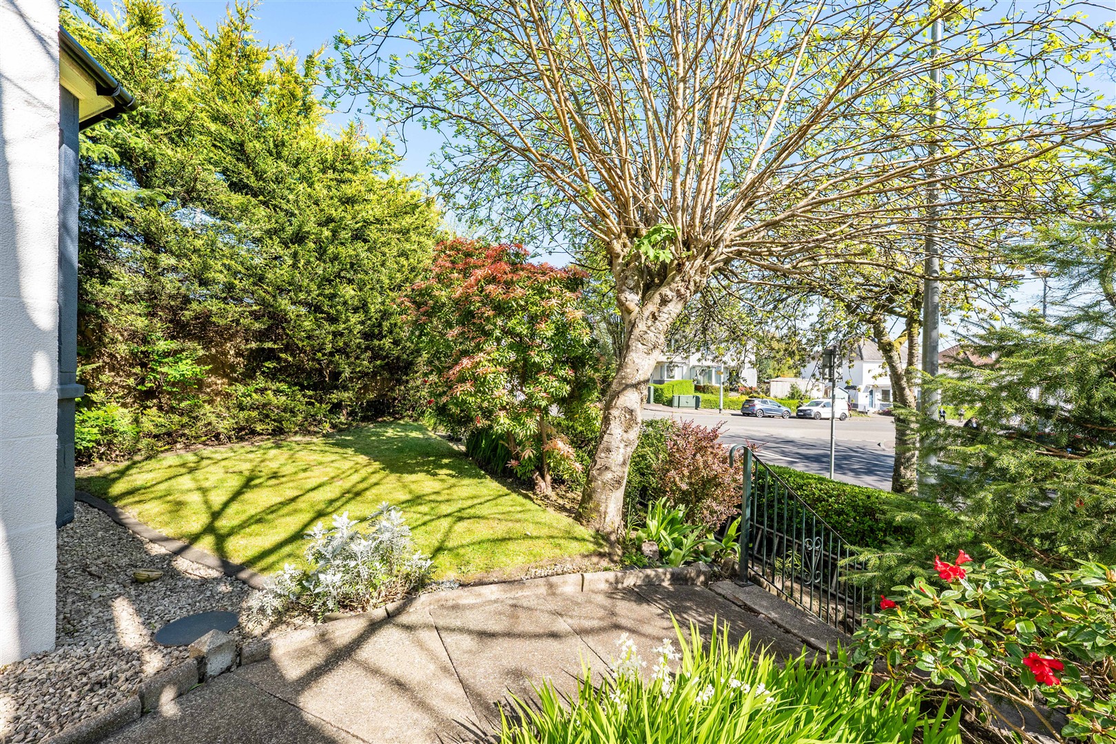 4 Athelstane Road 14 (Large)