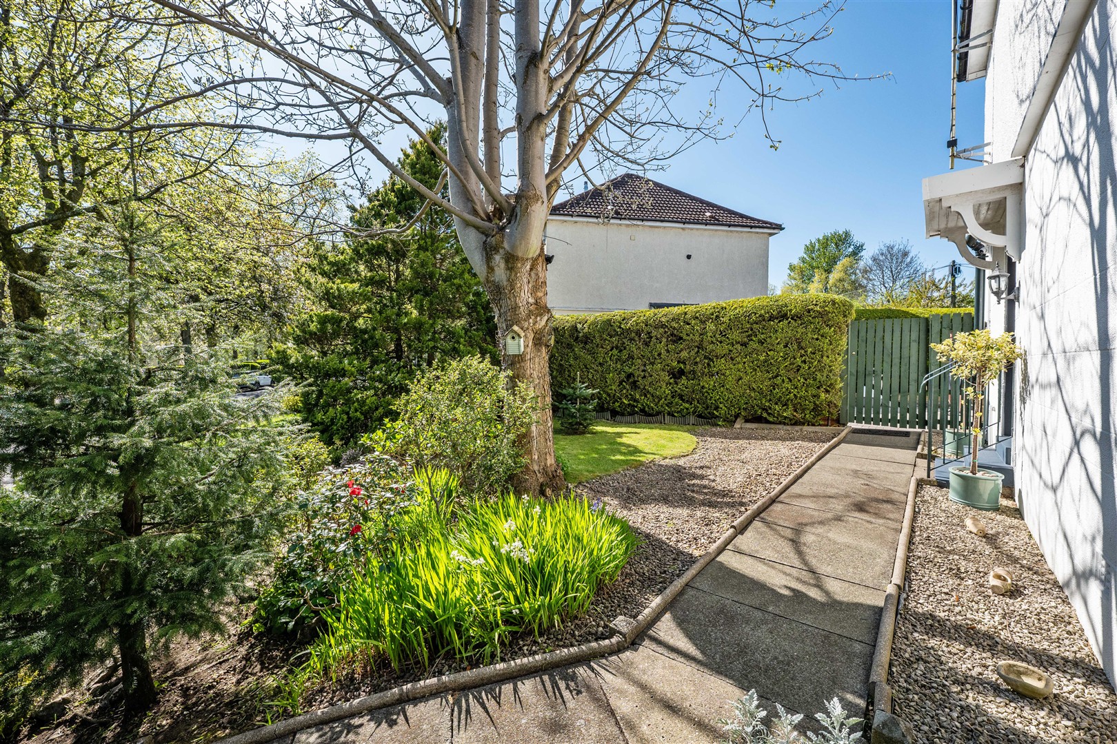 4 Athelstane Road 15 (Large)