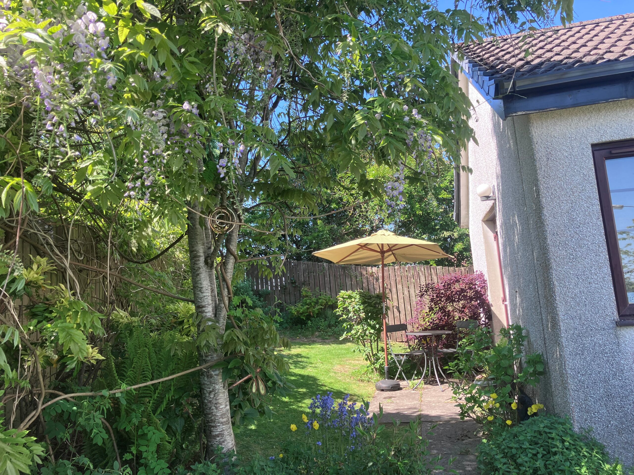 Client garden pic