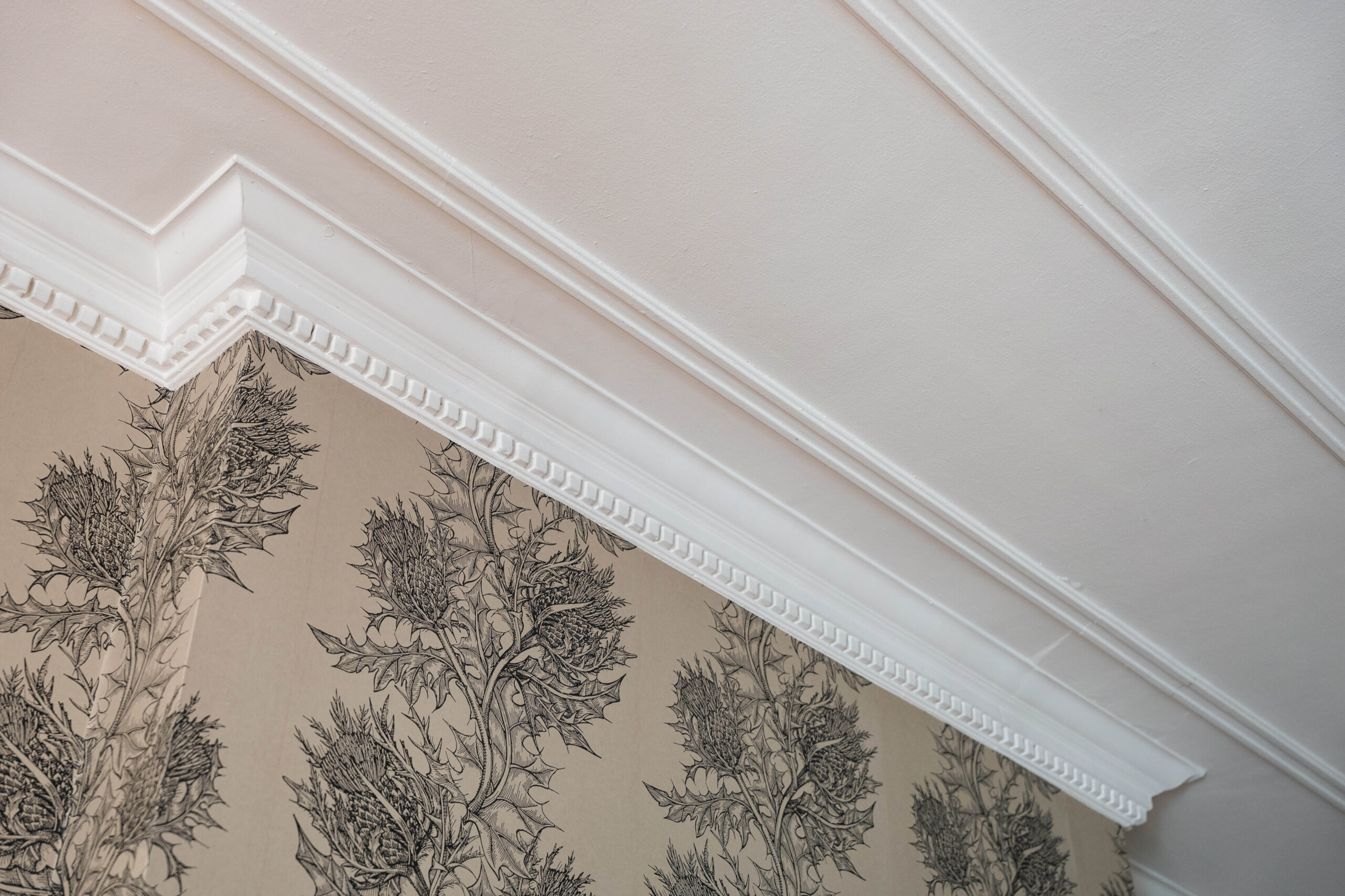 Main Door Flat, 38 Darnley Road (18)