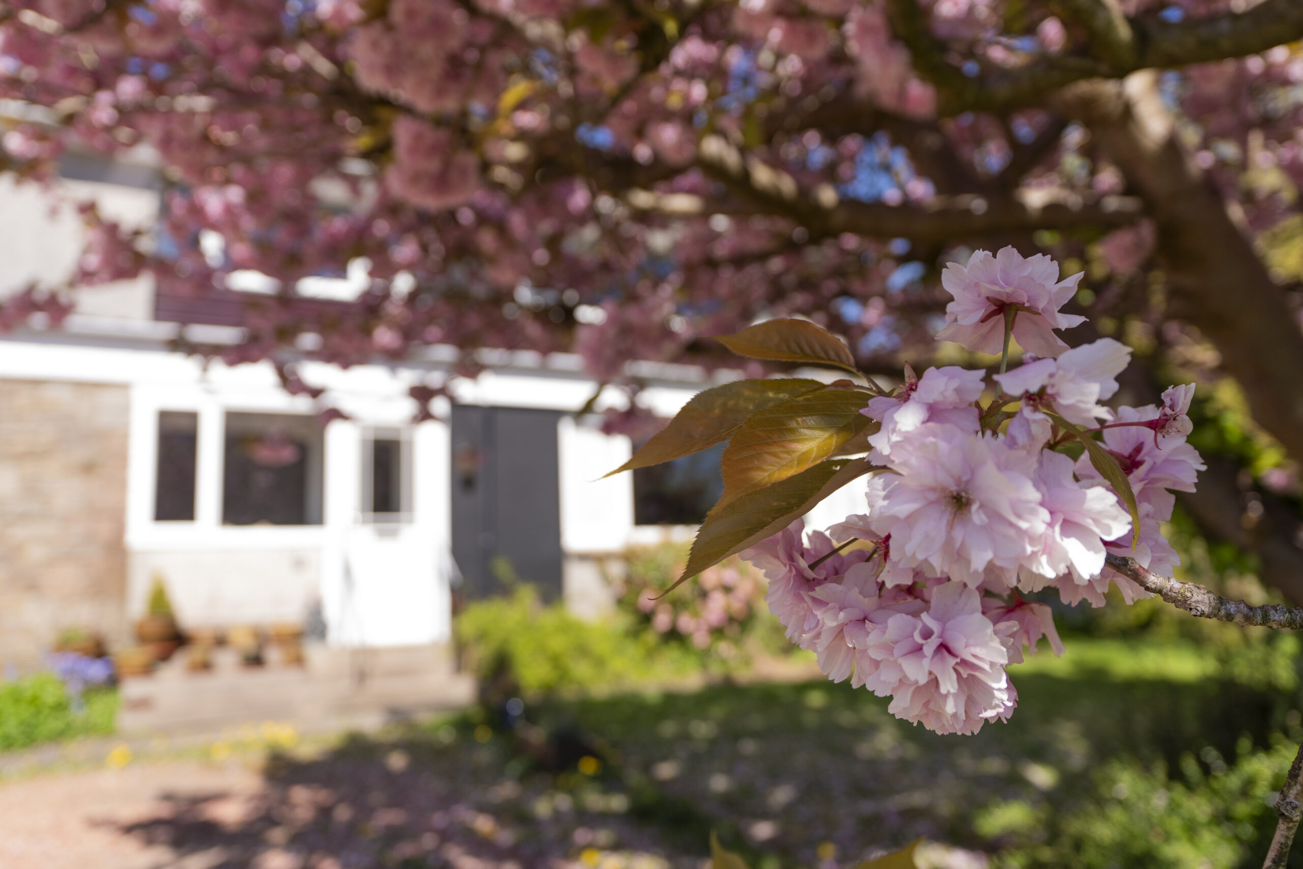 8 Hawick Avenue_Camera-36