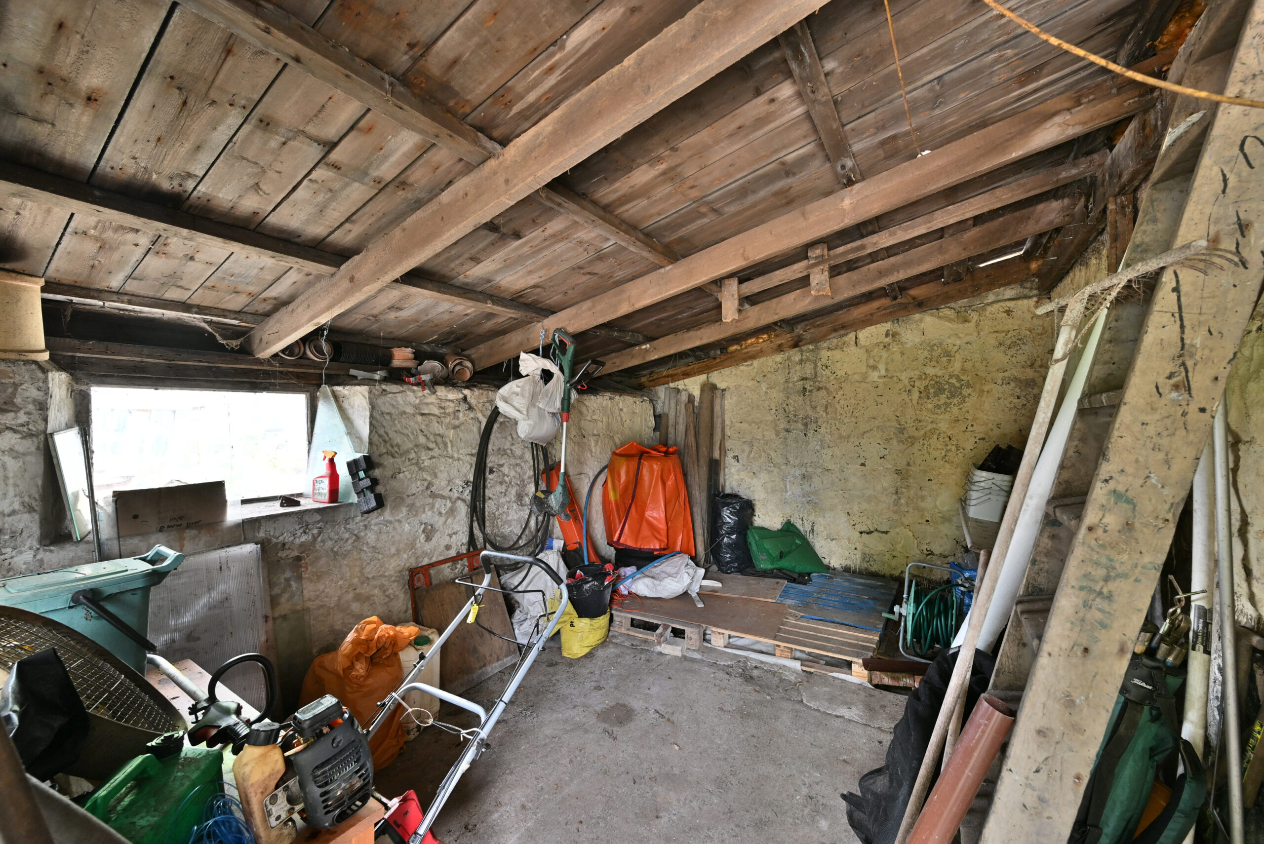 DSC_0393