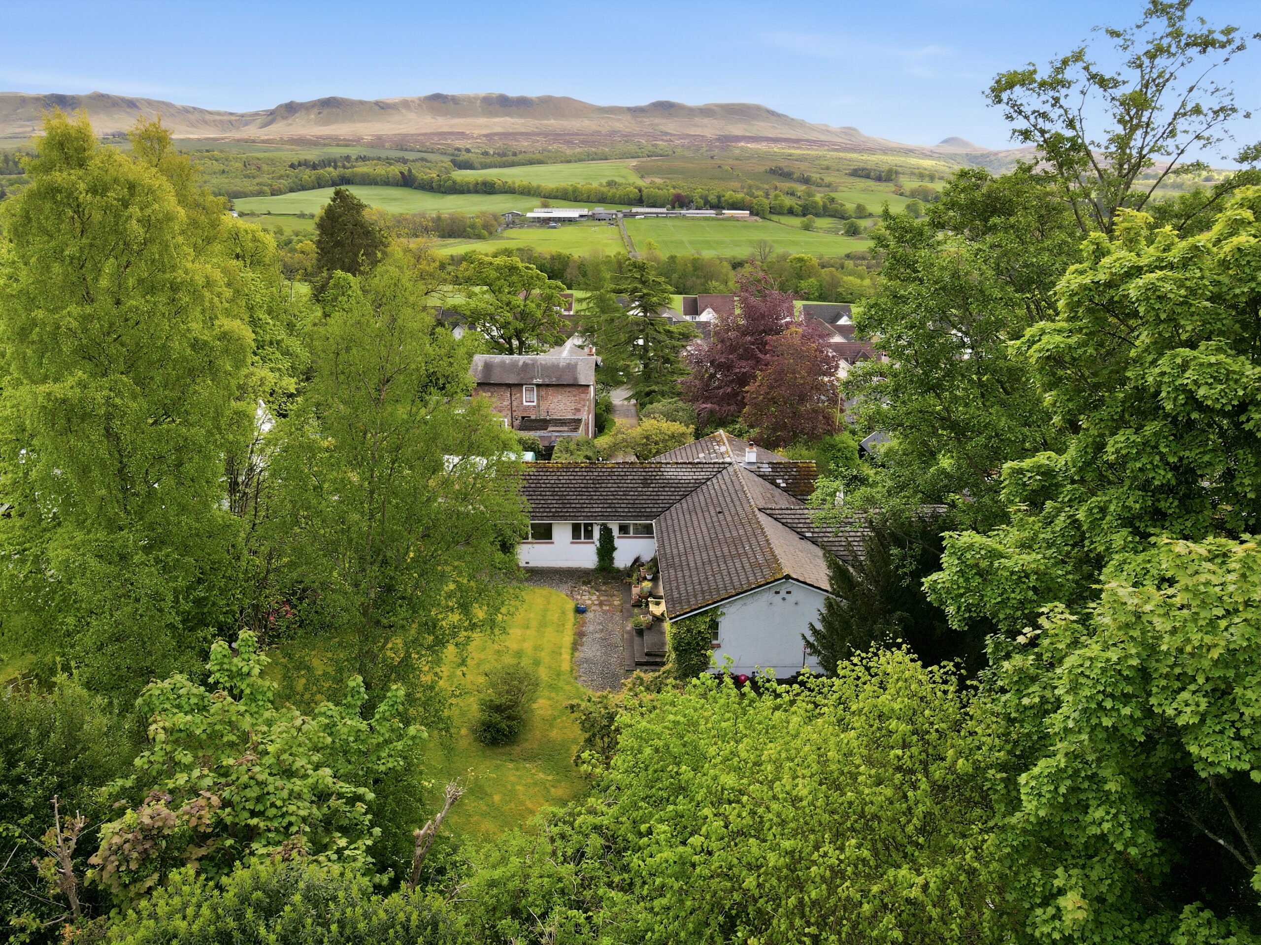 Dumbreck_011
