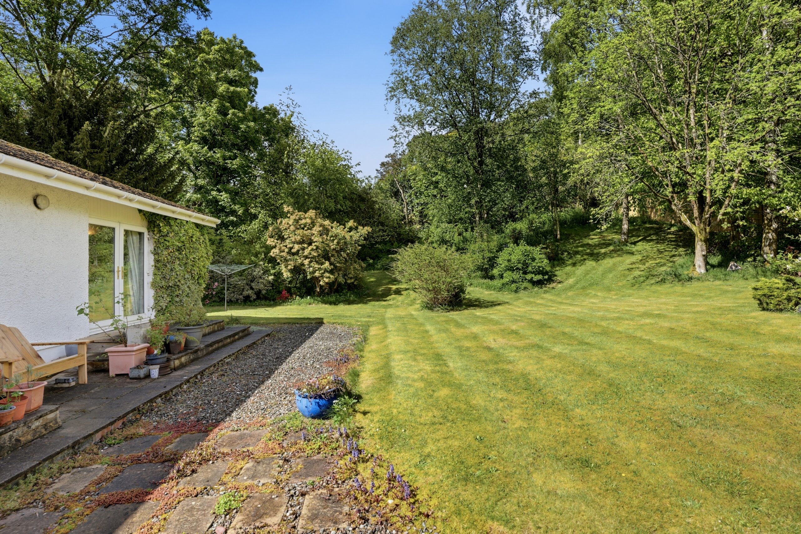 Dumbreck_028