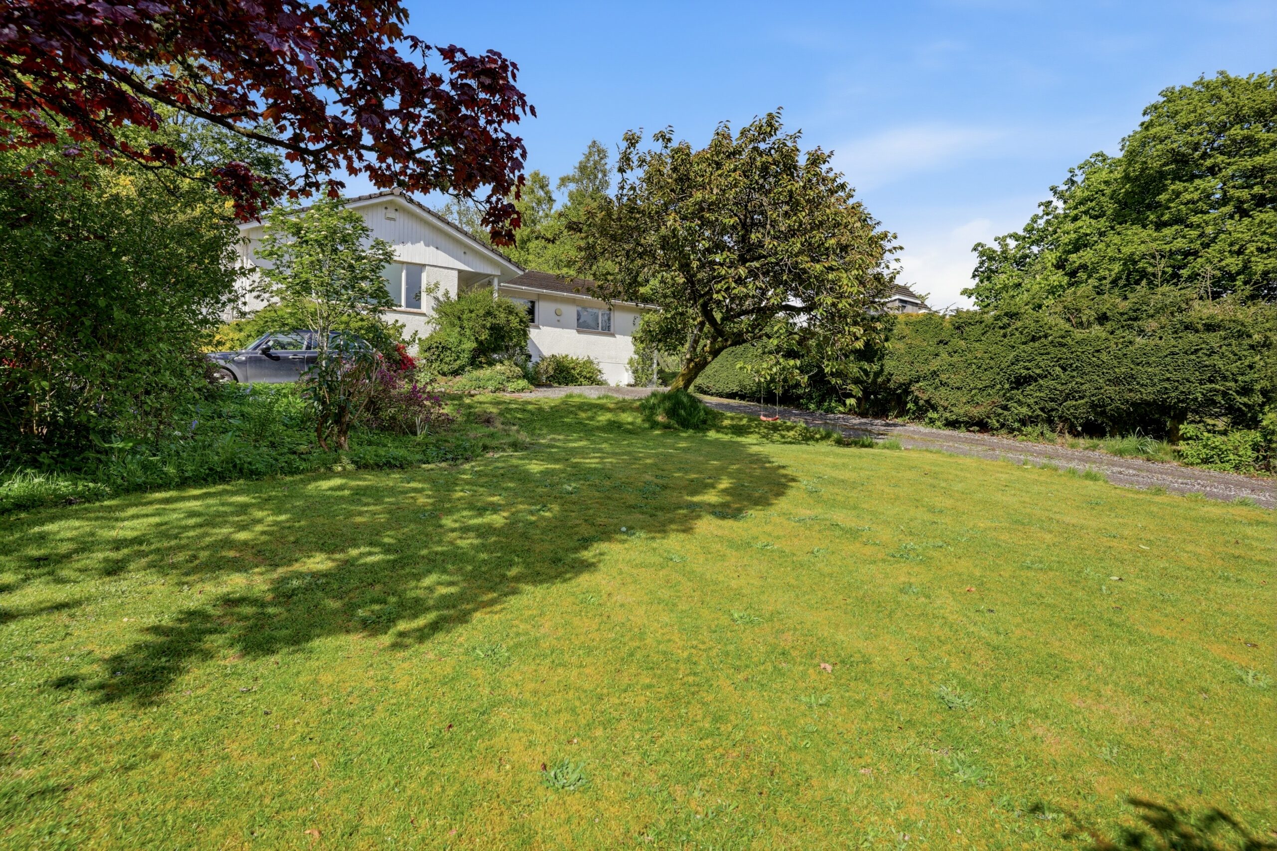 Dumbreck_032