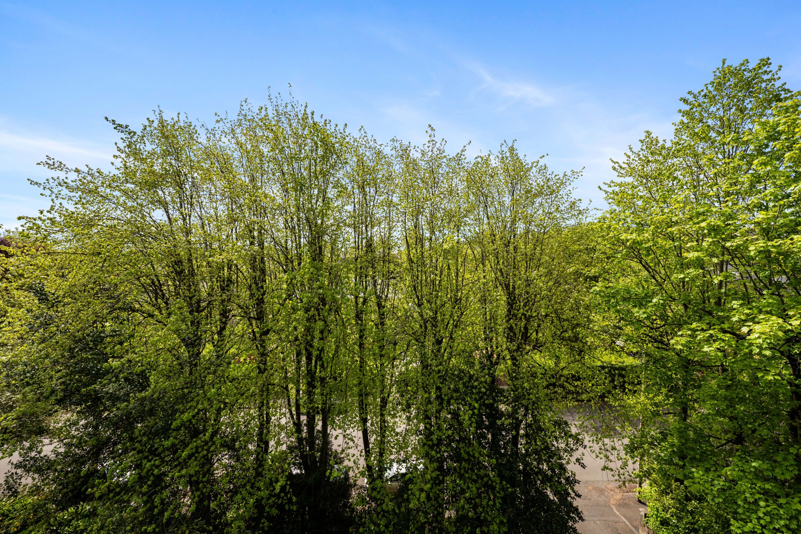 Flat 7, Dalziel Court, 56 Dalziel Drive (8)