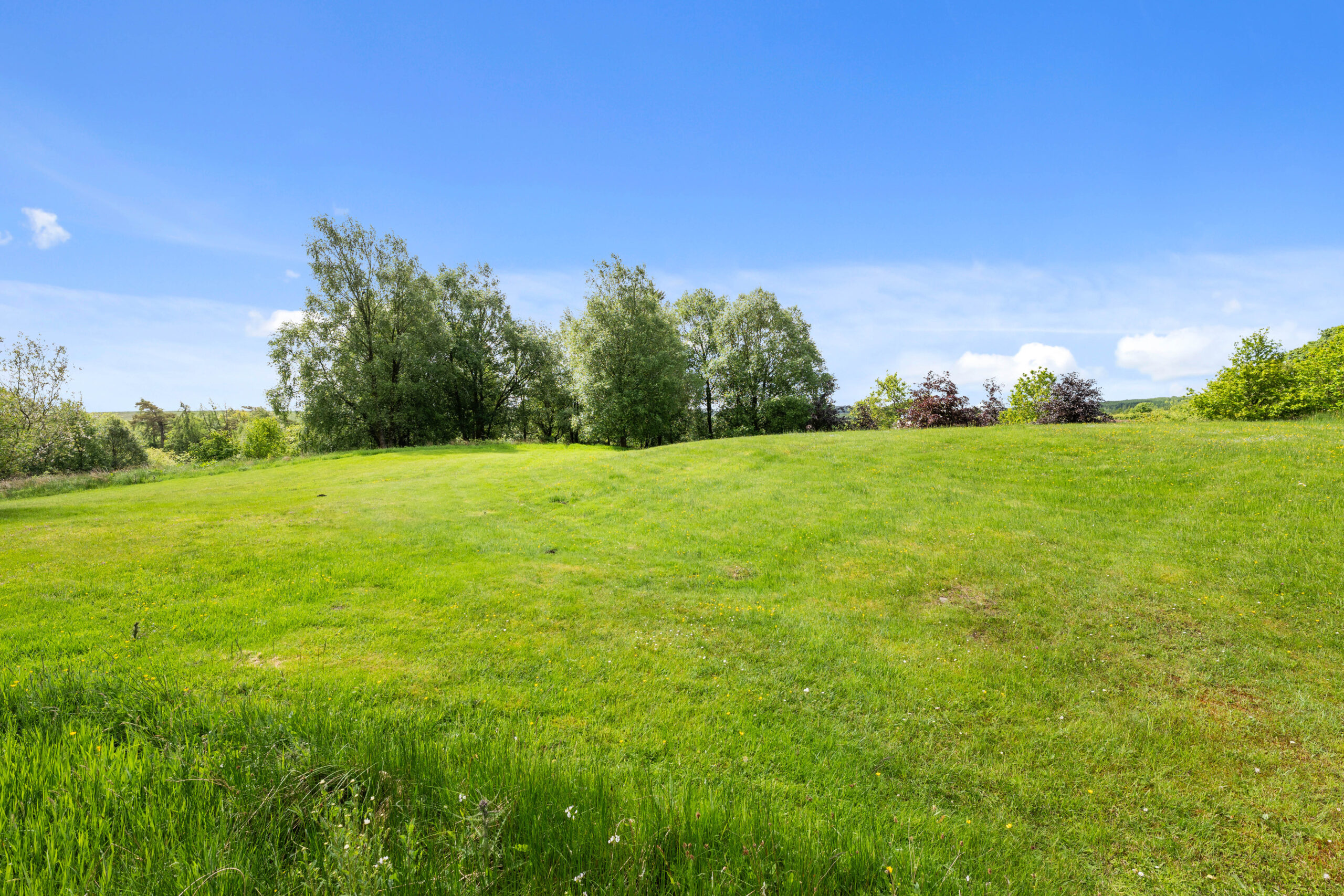 Grounds_3