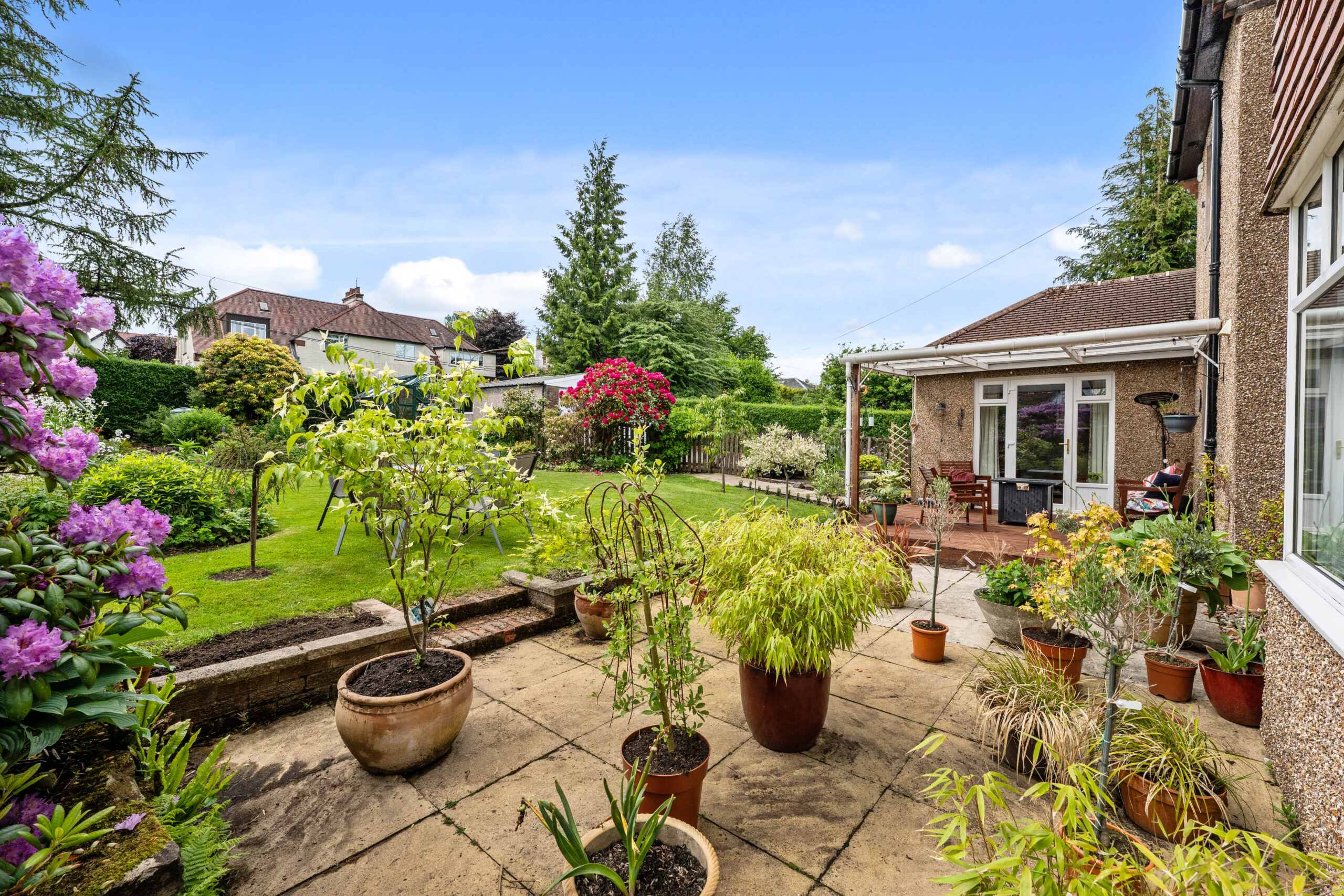 rear garden_1