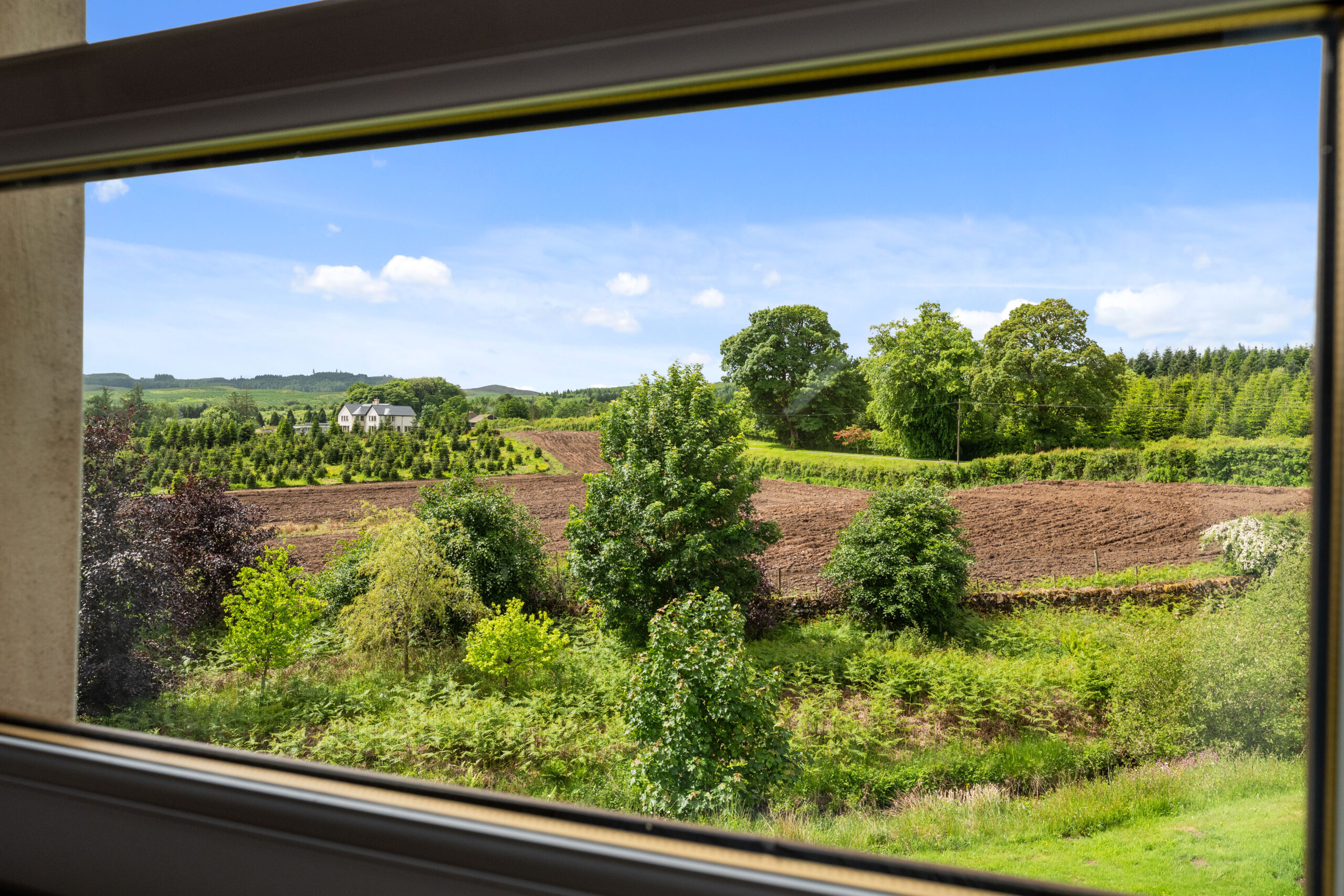 window view