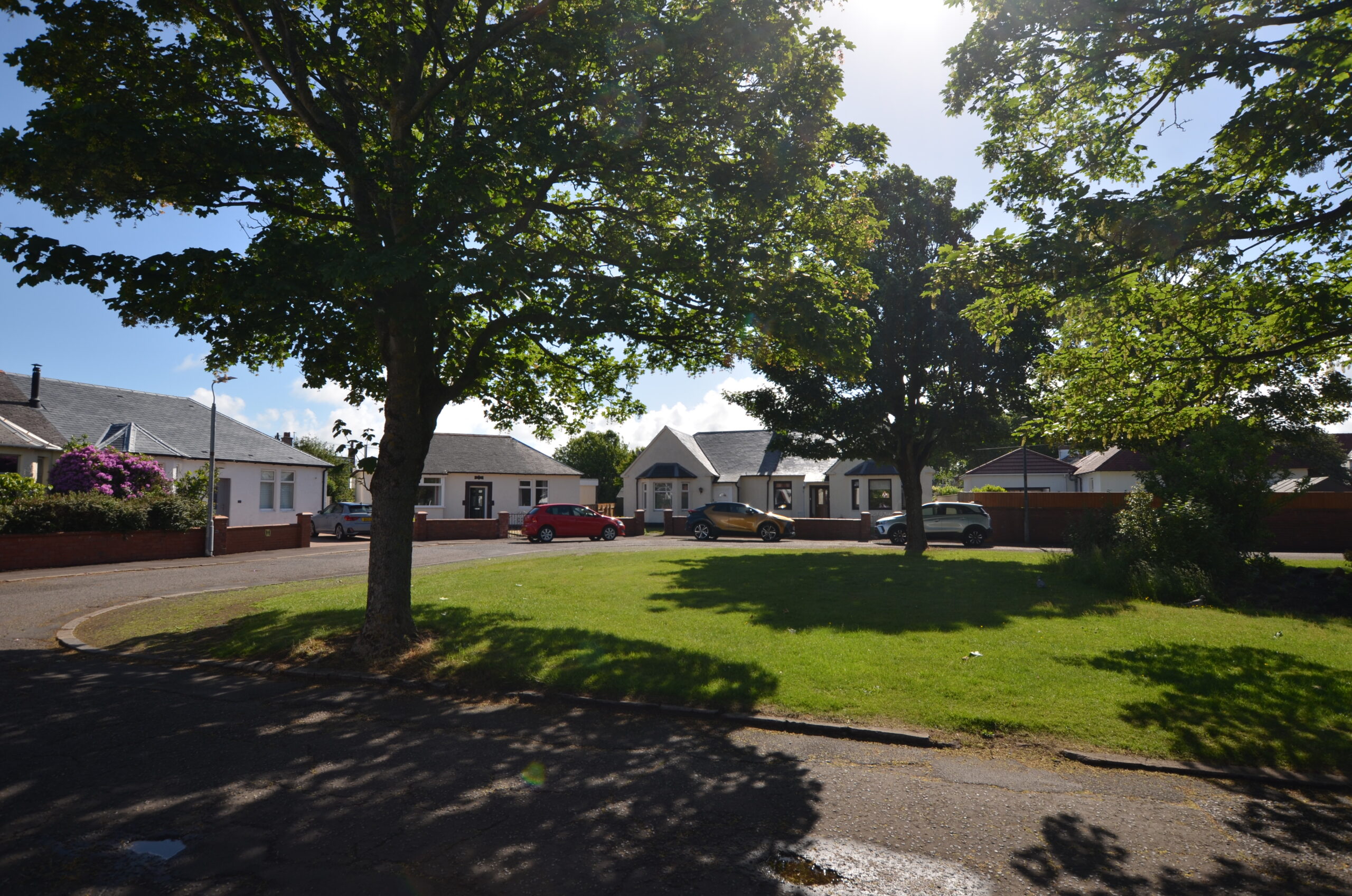 DSC_2903 – Copy