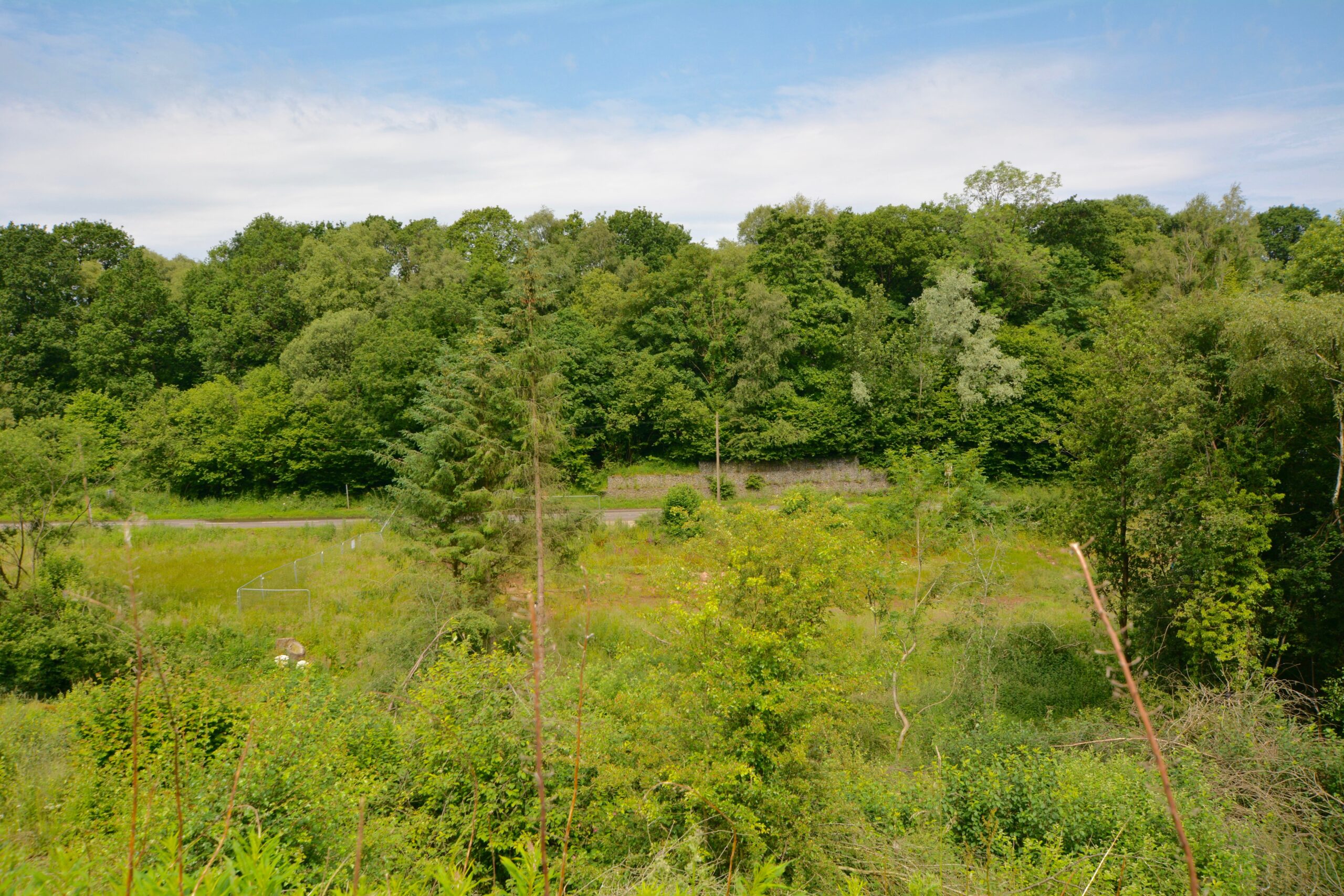 DSC_3106
