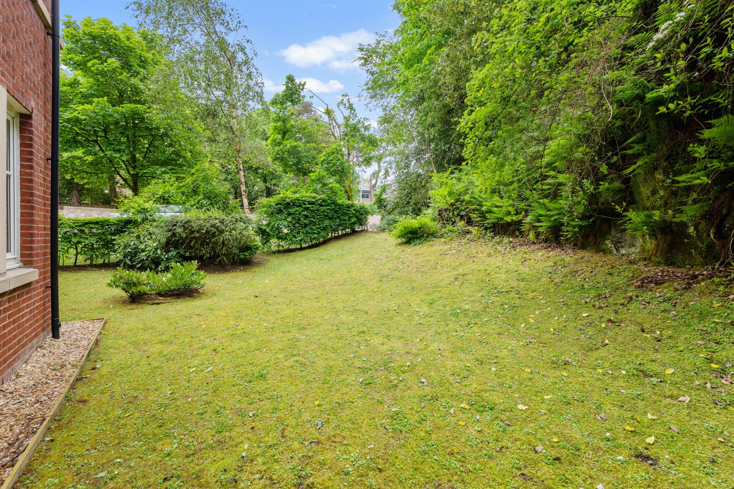 P1646487