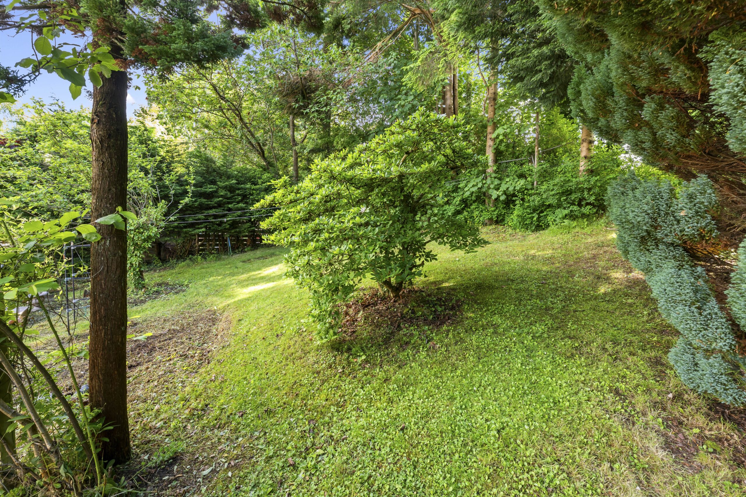 P1693575