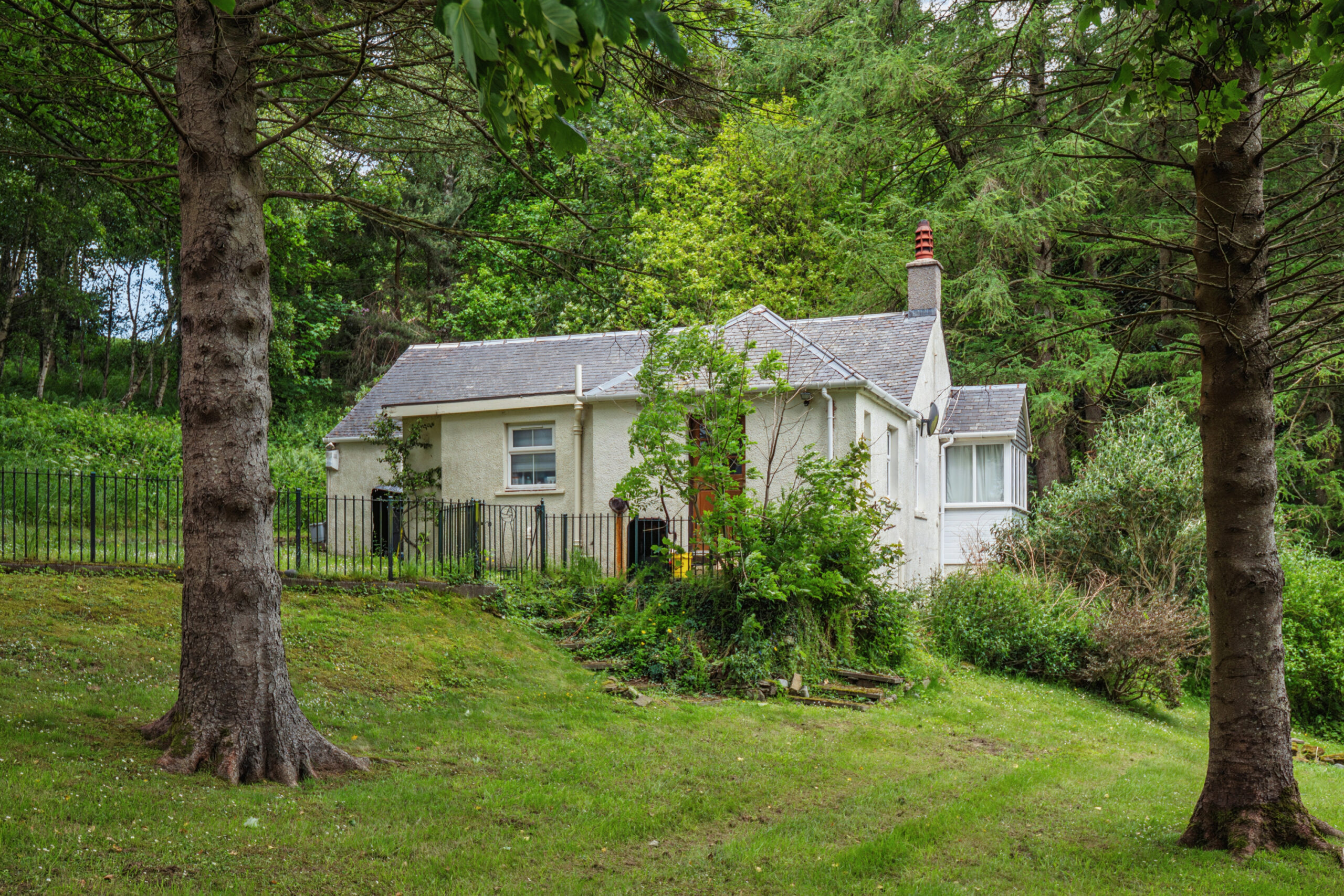 P2555689