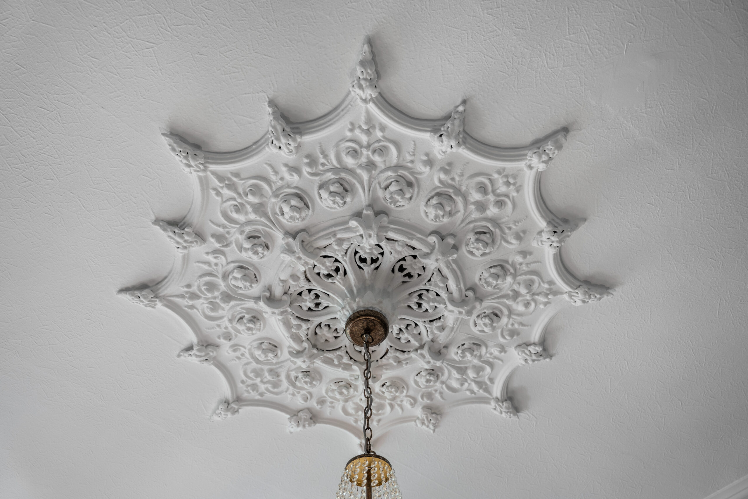 1.2, 7 Hampden Terrace (12)