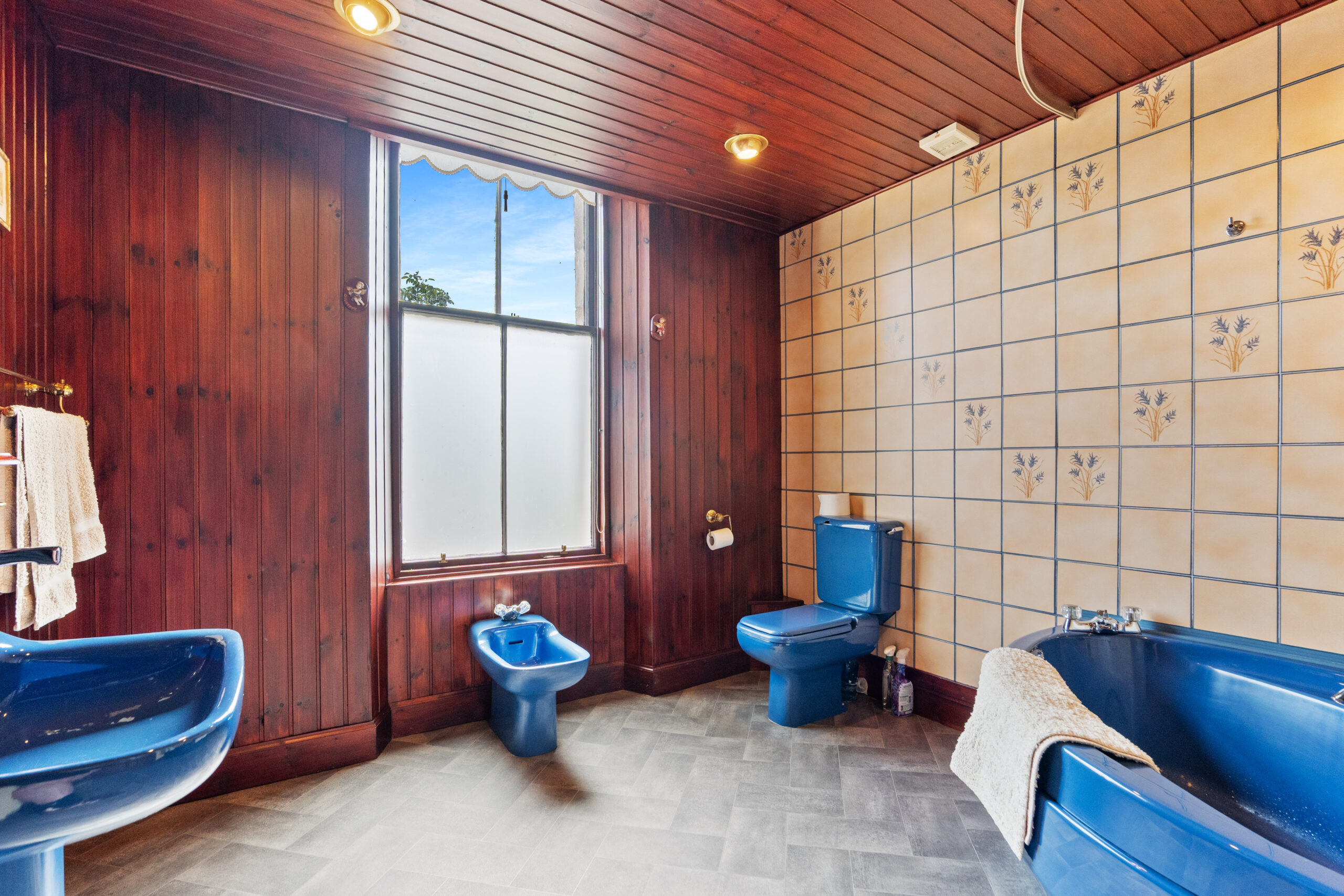 343b Albert Drive (3)