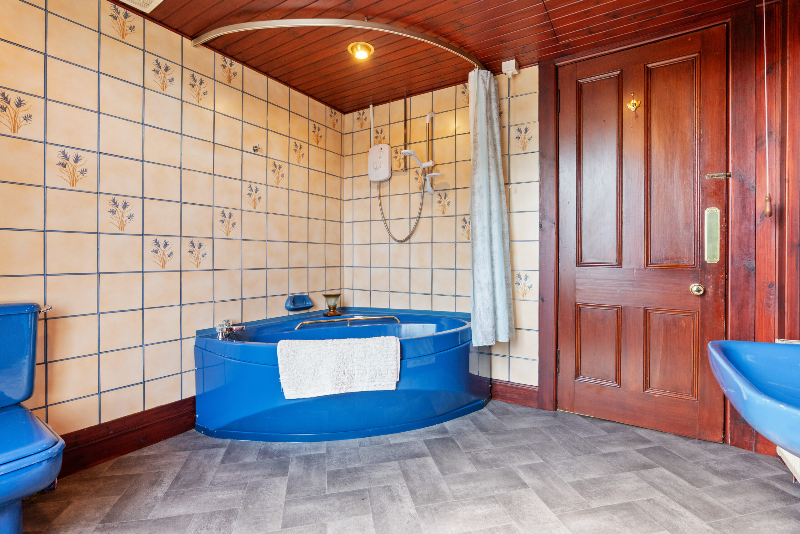 343b Albert Drive (4)