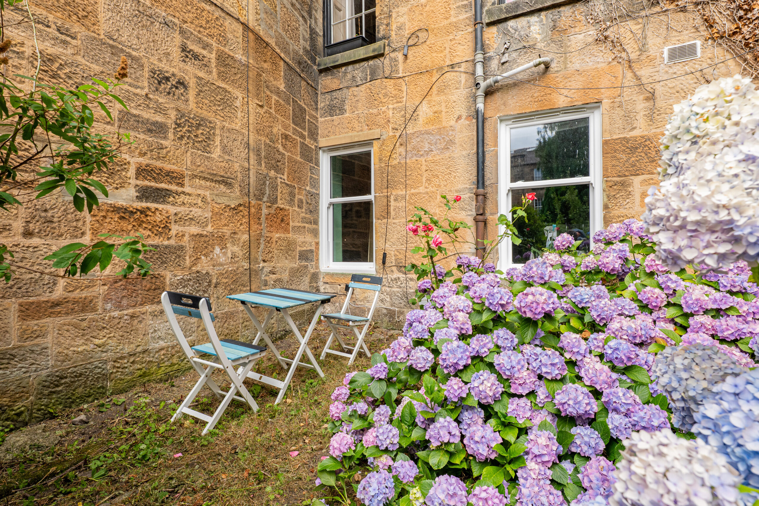 Additional Garden Photographs (2)