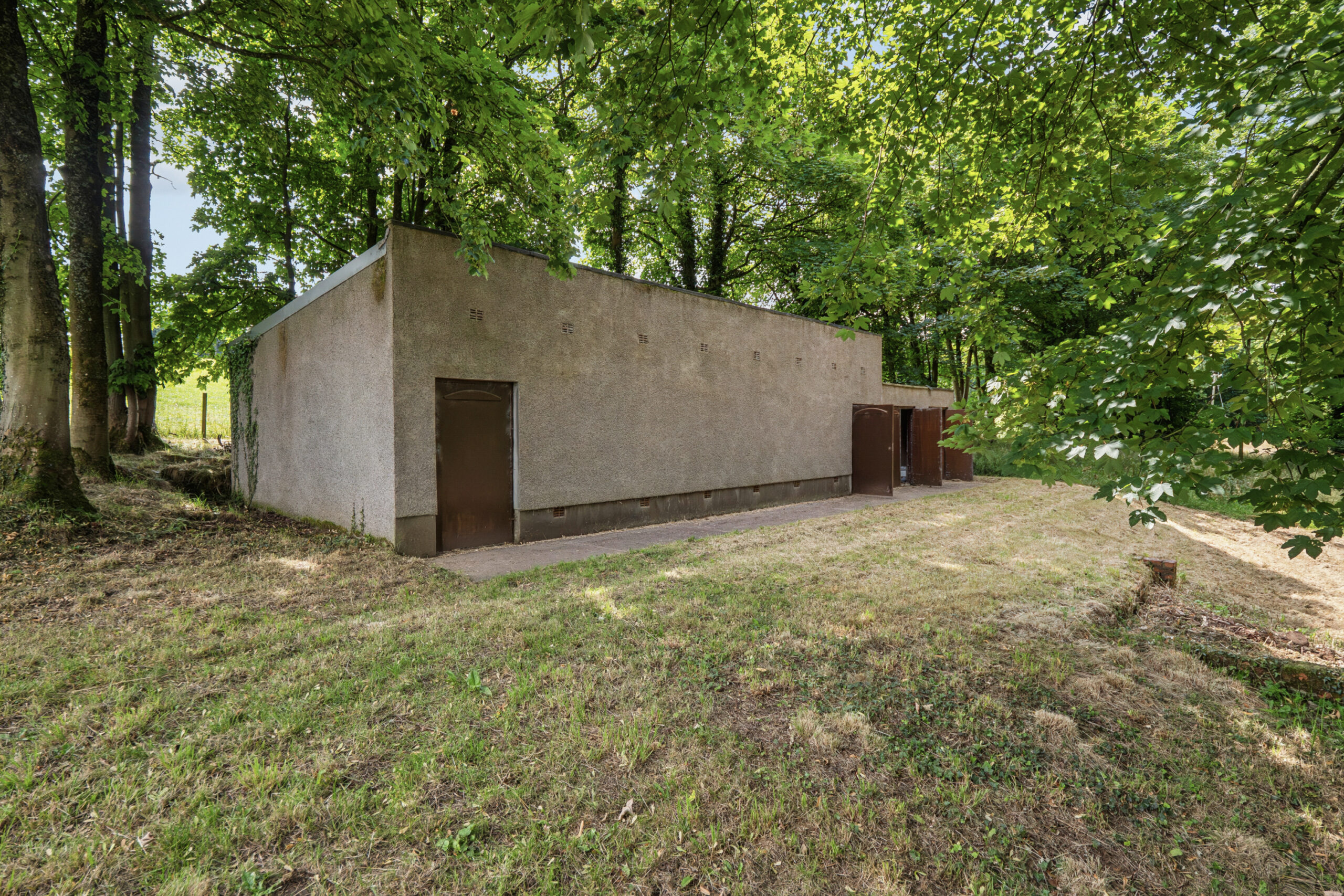 P2611398