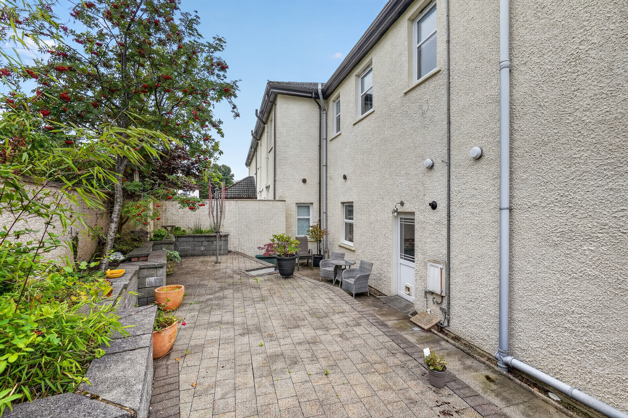 2 buchanan st41