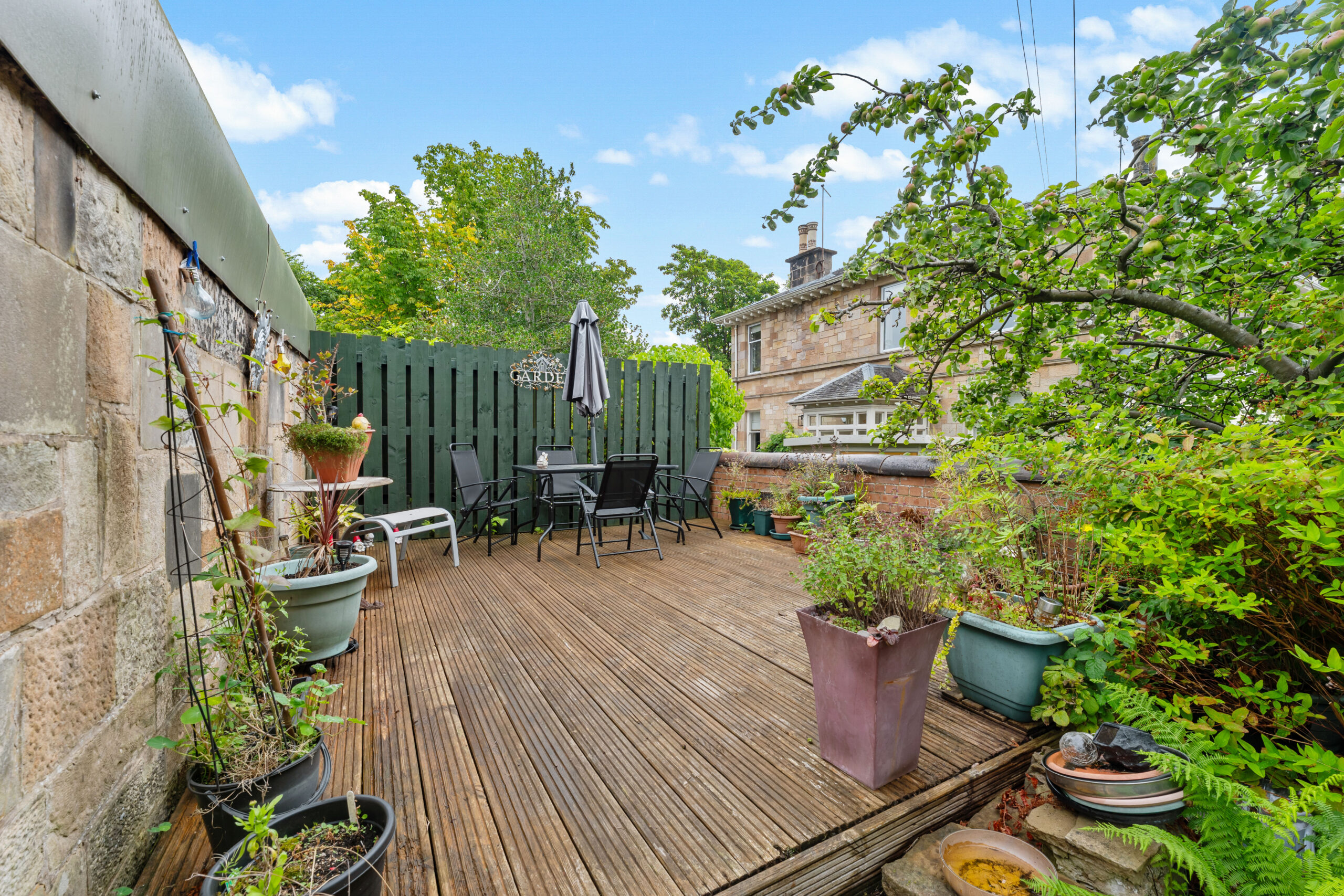 337 Albert Drive (14)