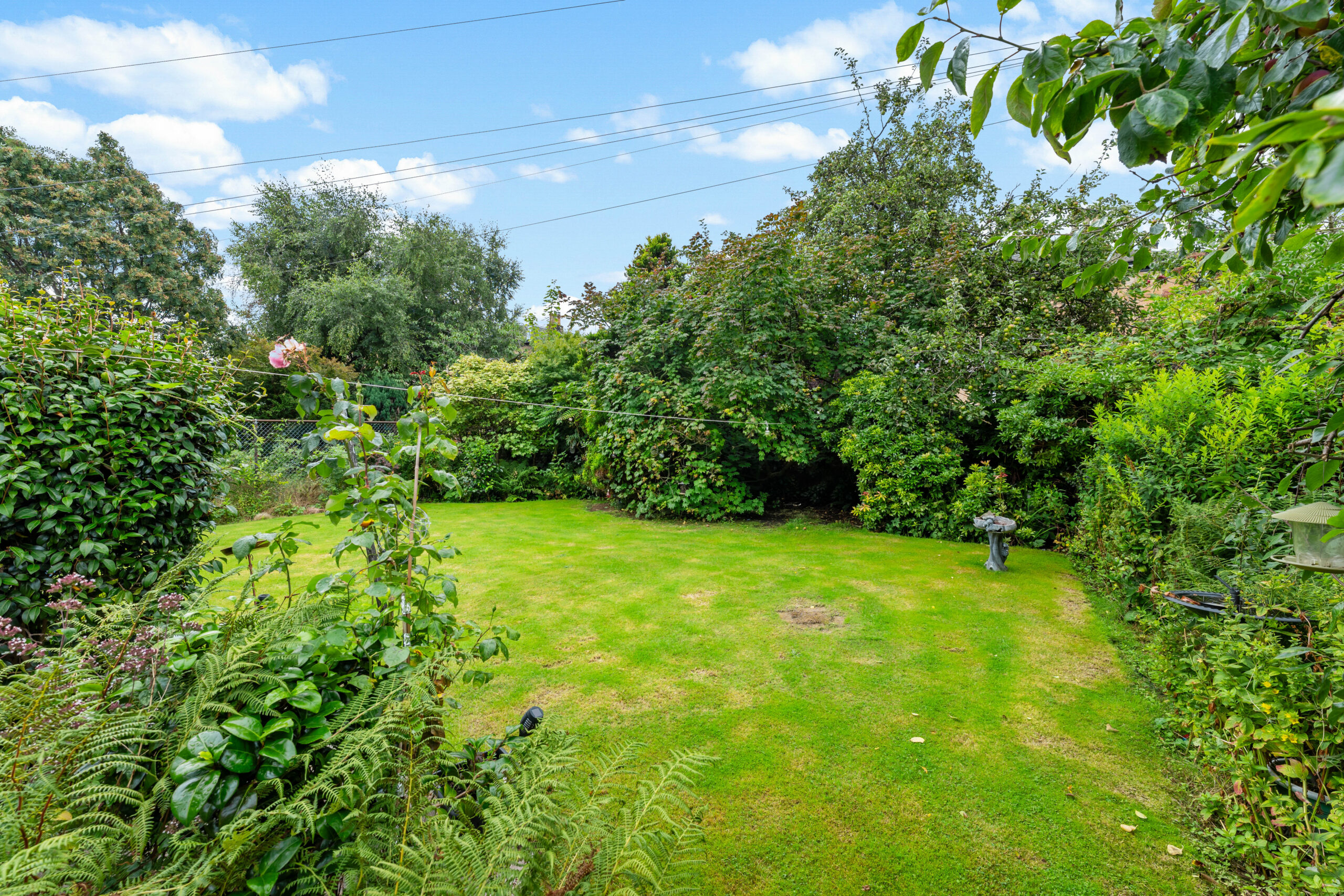 337 Albert Drive (17)