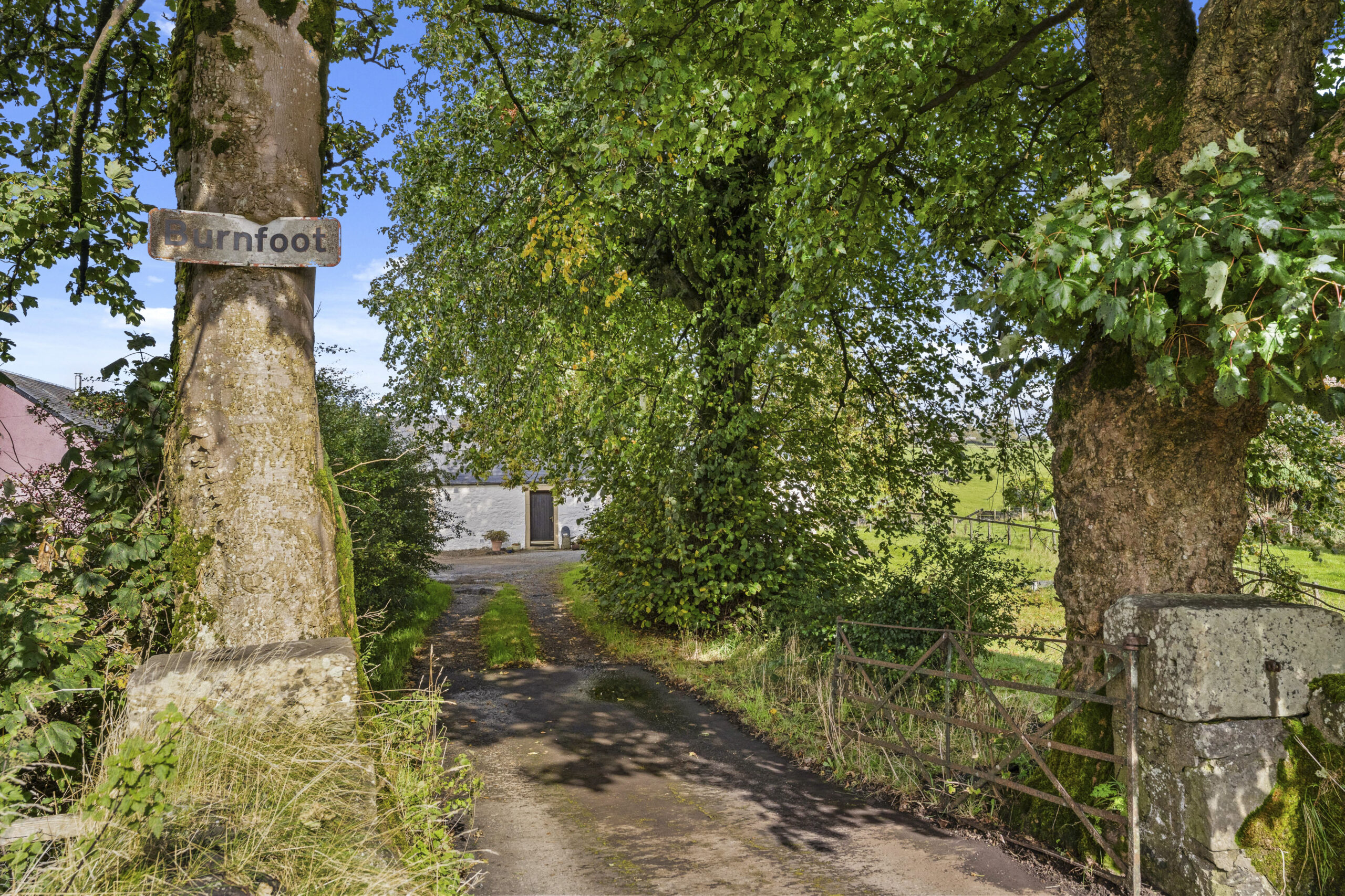1 Burnfoot Cottage-69