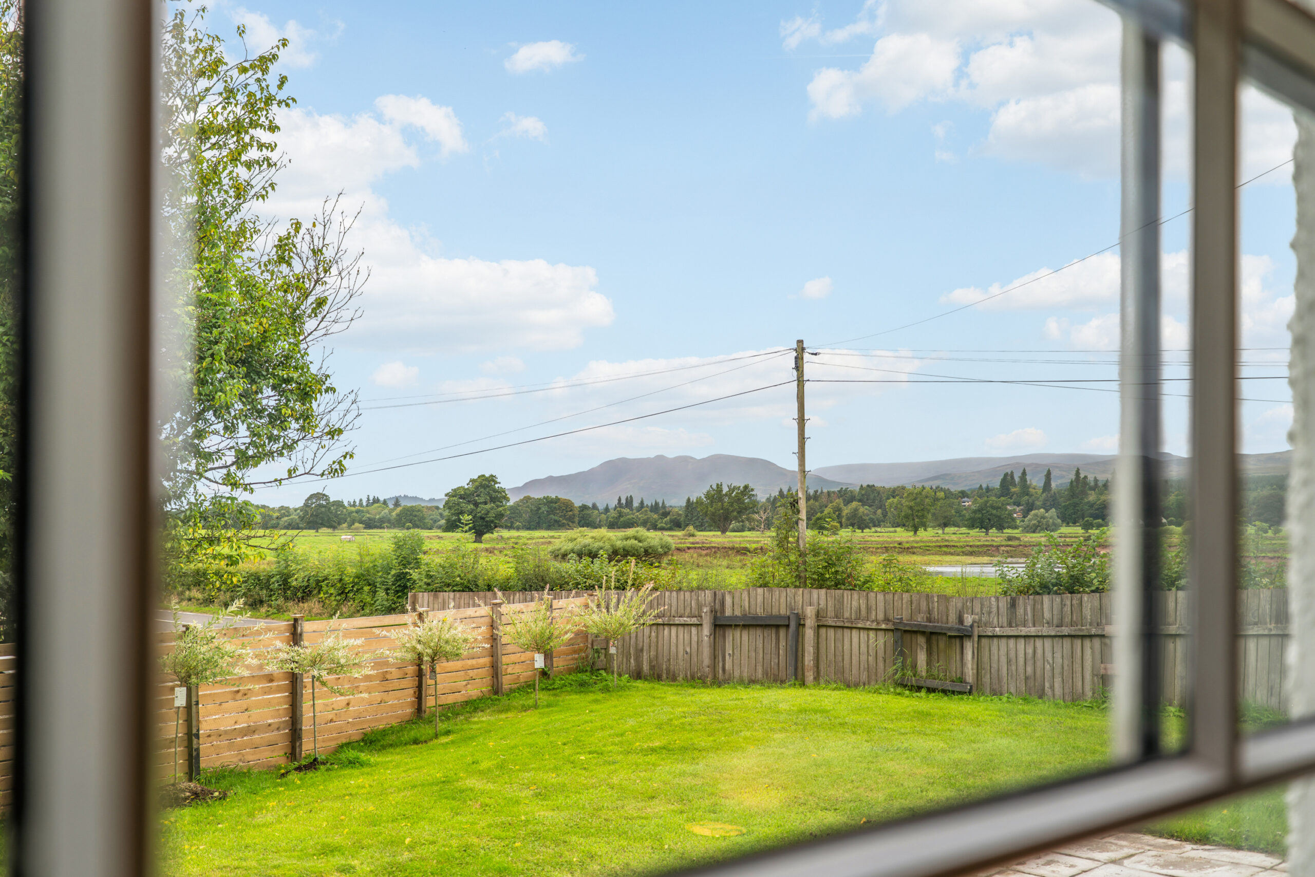 P1391385
