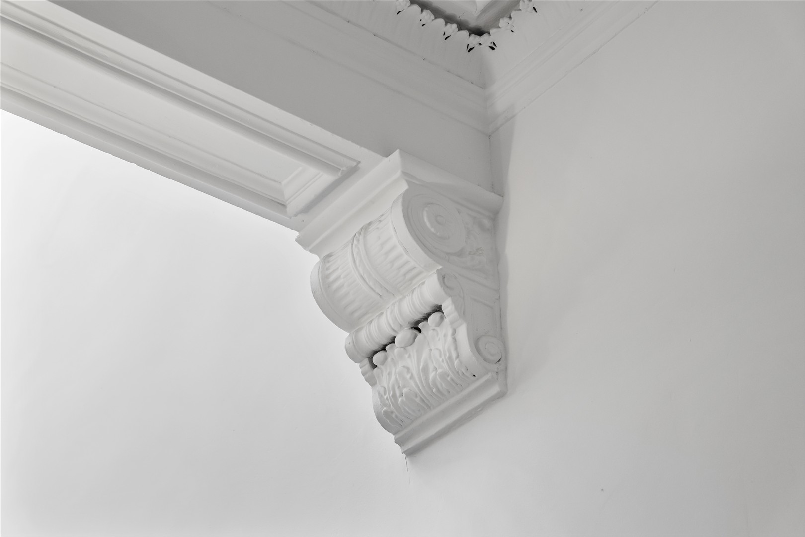 P1881656 (Large)