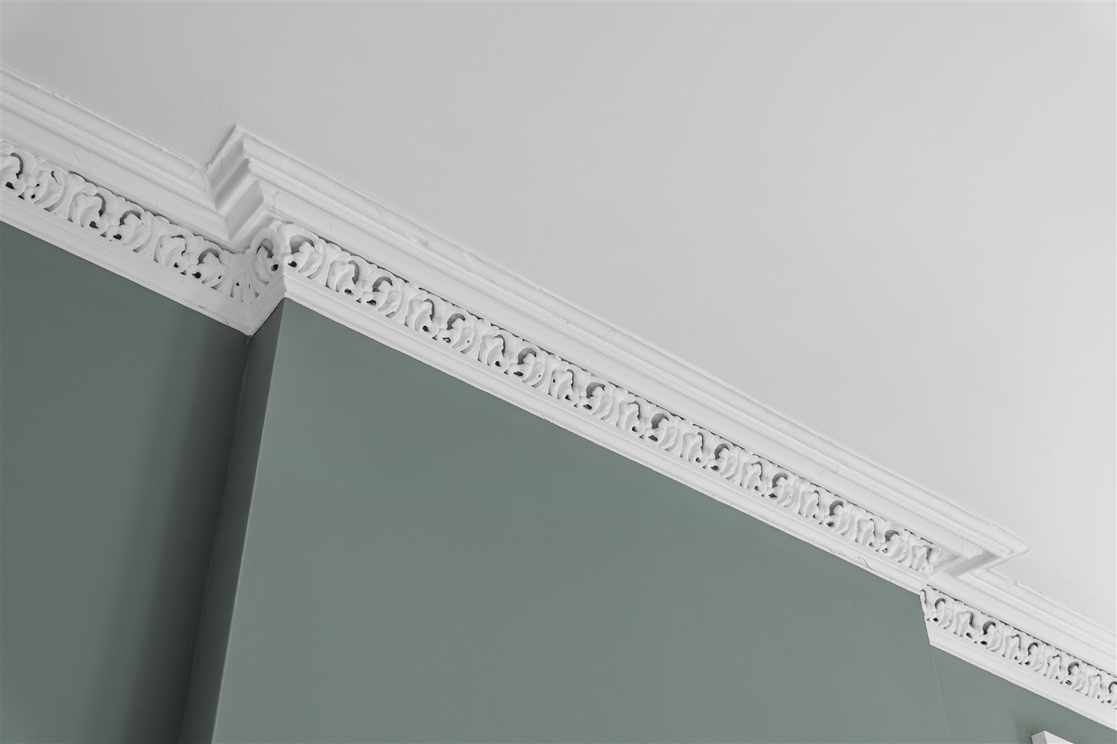P1881662 (Large)