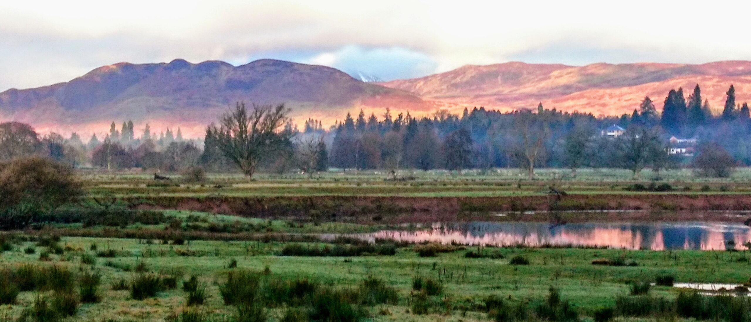 View of Conic