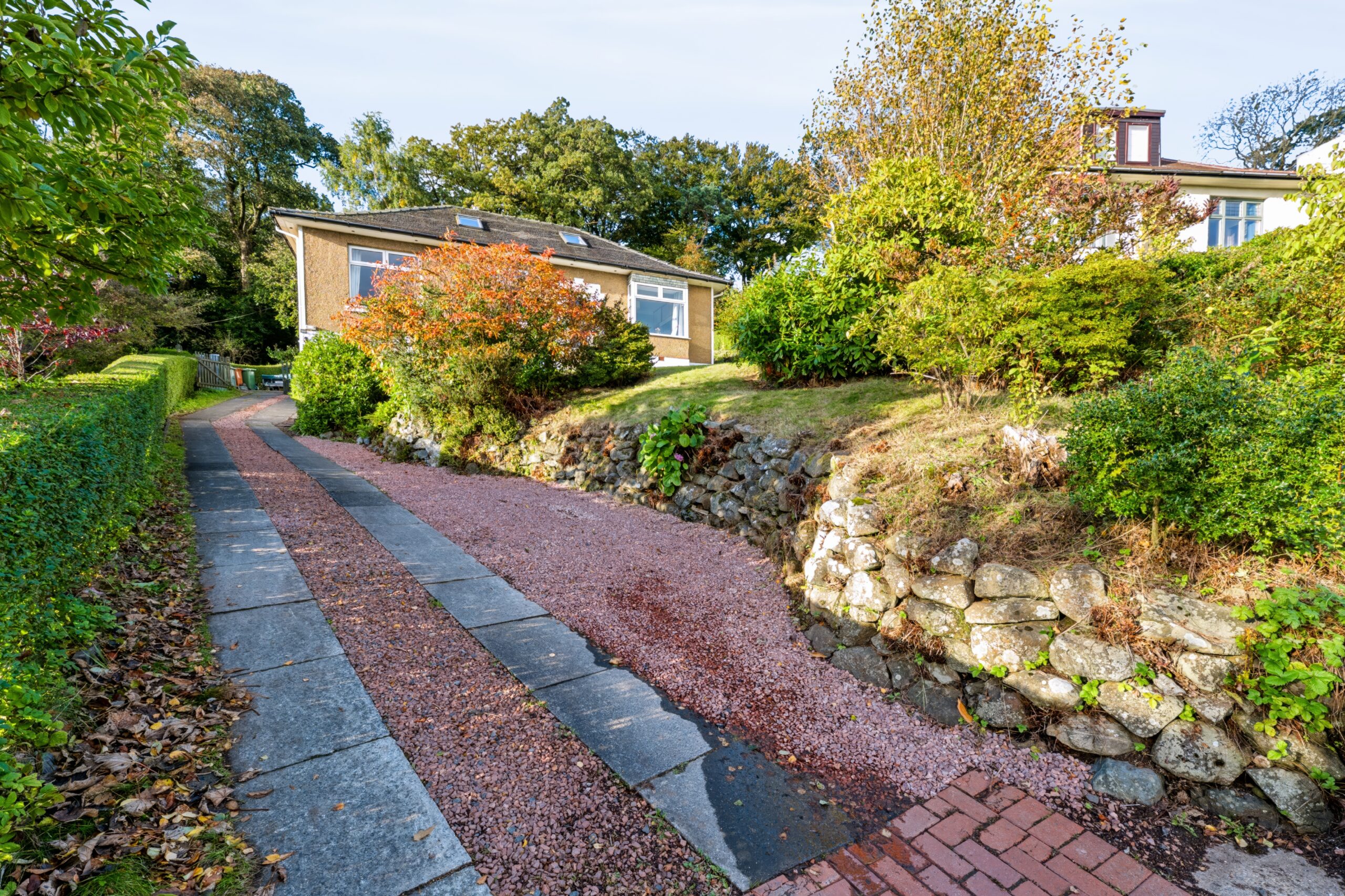 web 6