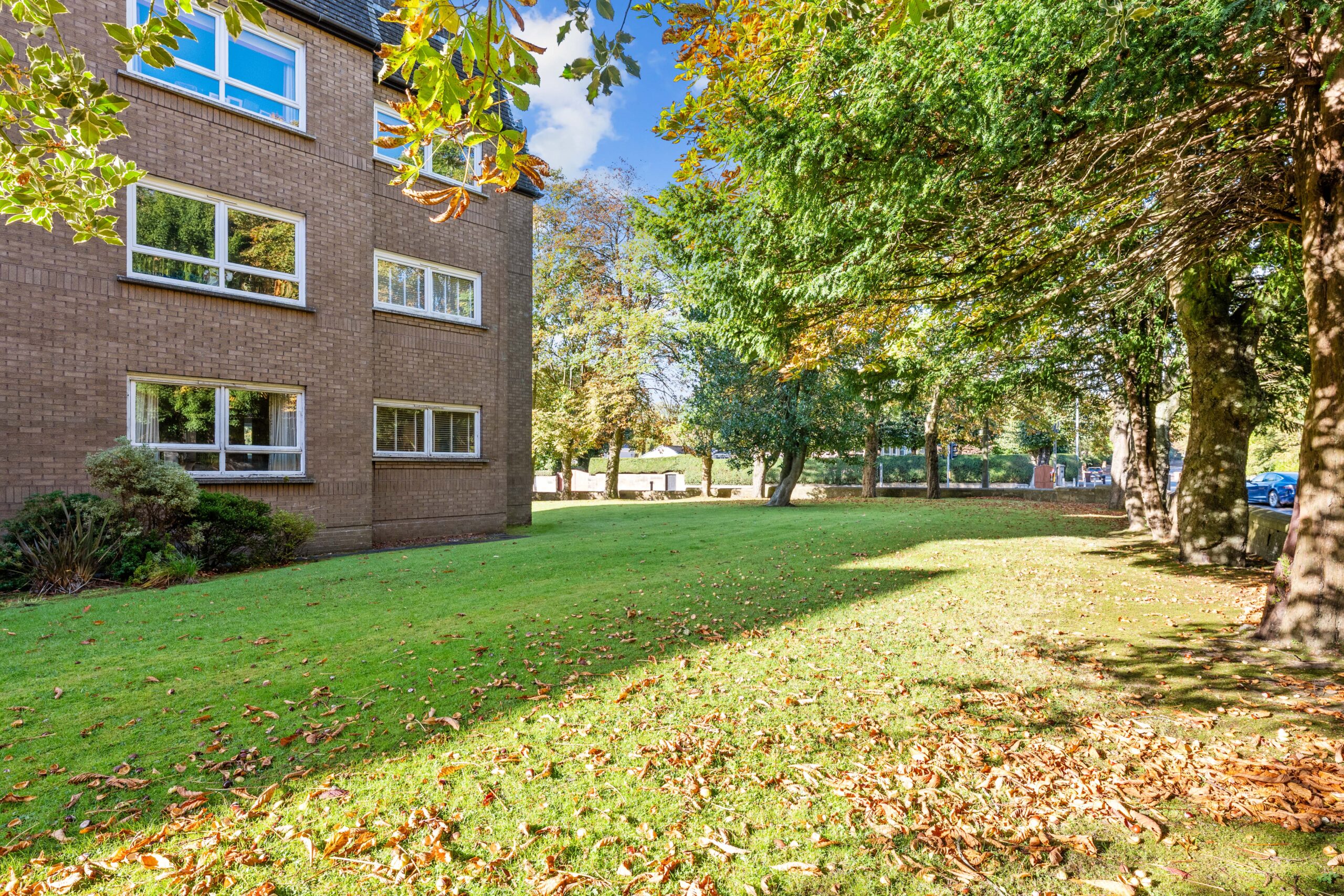 0.2, 211 Nithsdale Road (15)
